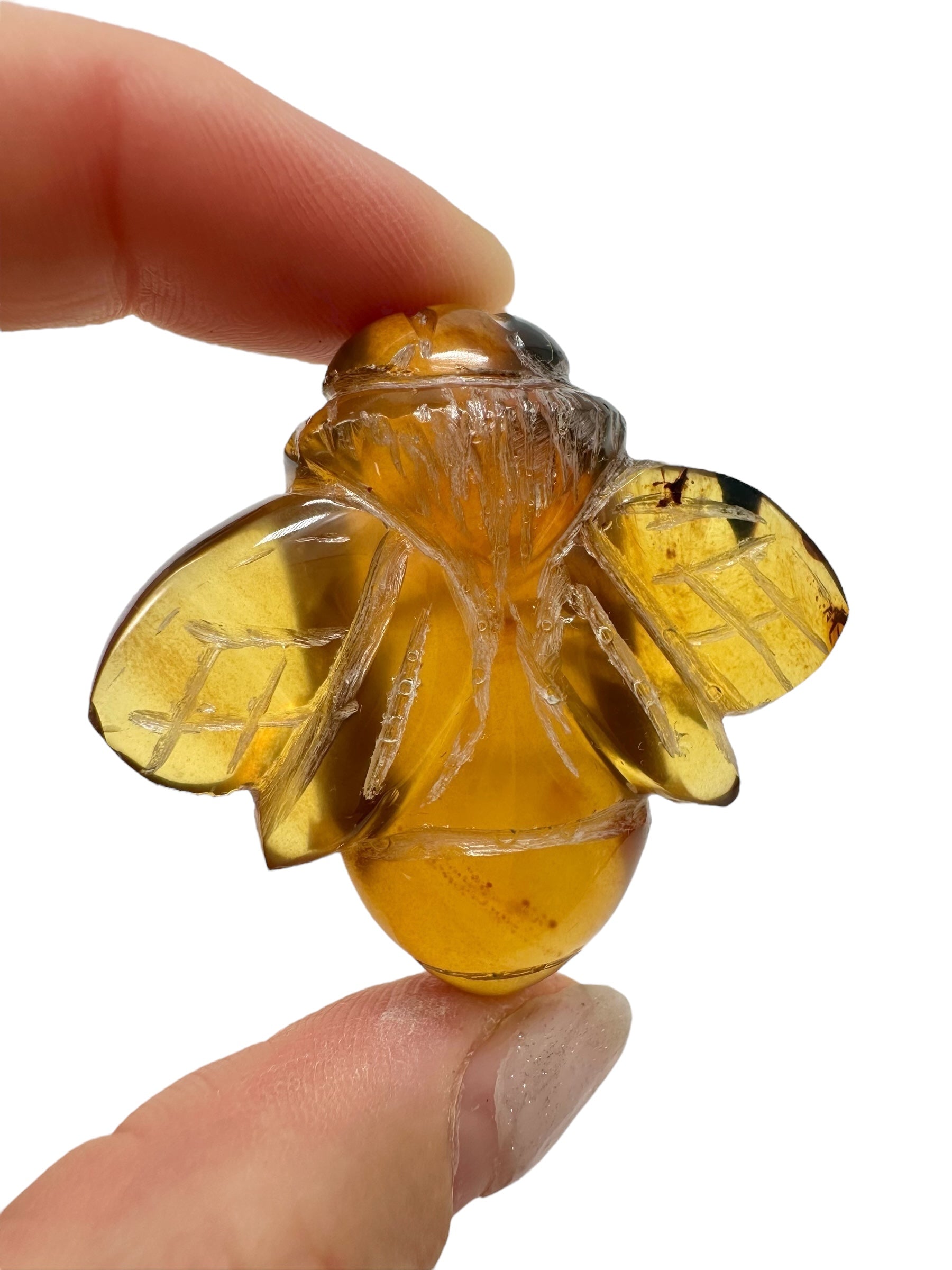 Amber bee – Sumatra, Indonesia - JV001