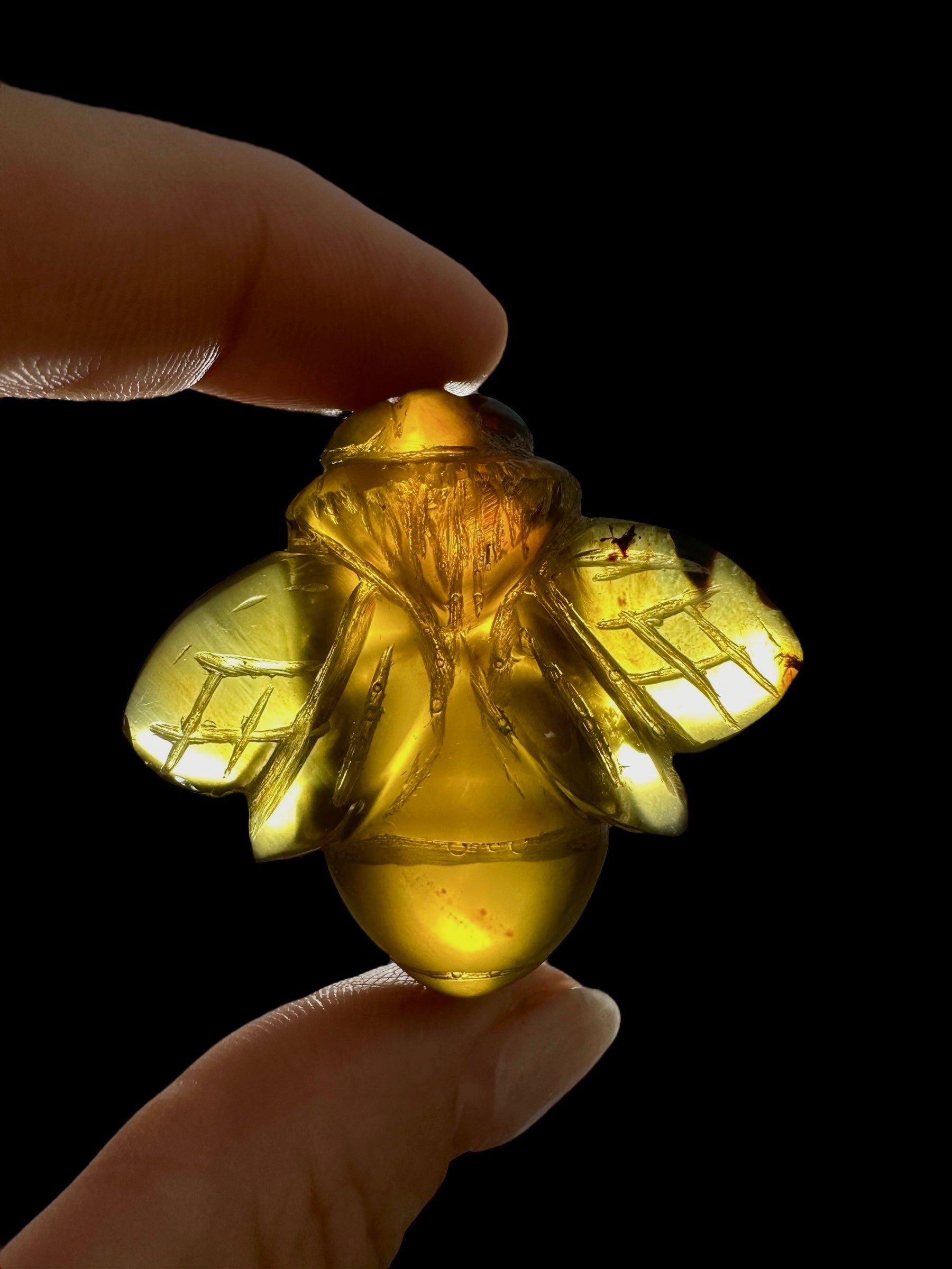 Amber bee – Sumatra, Indonesia - JV001