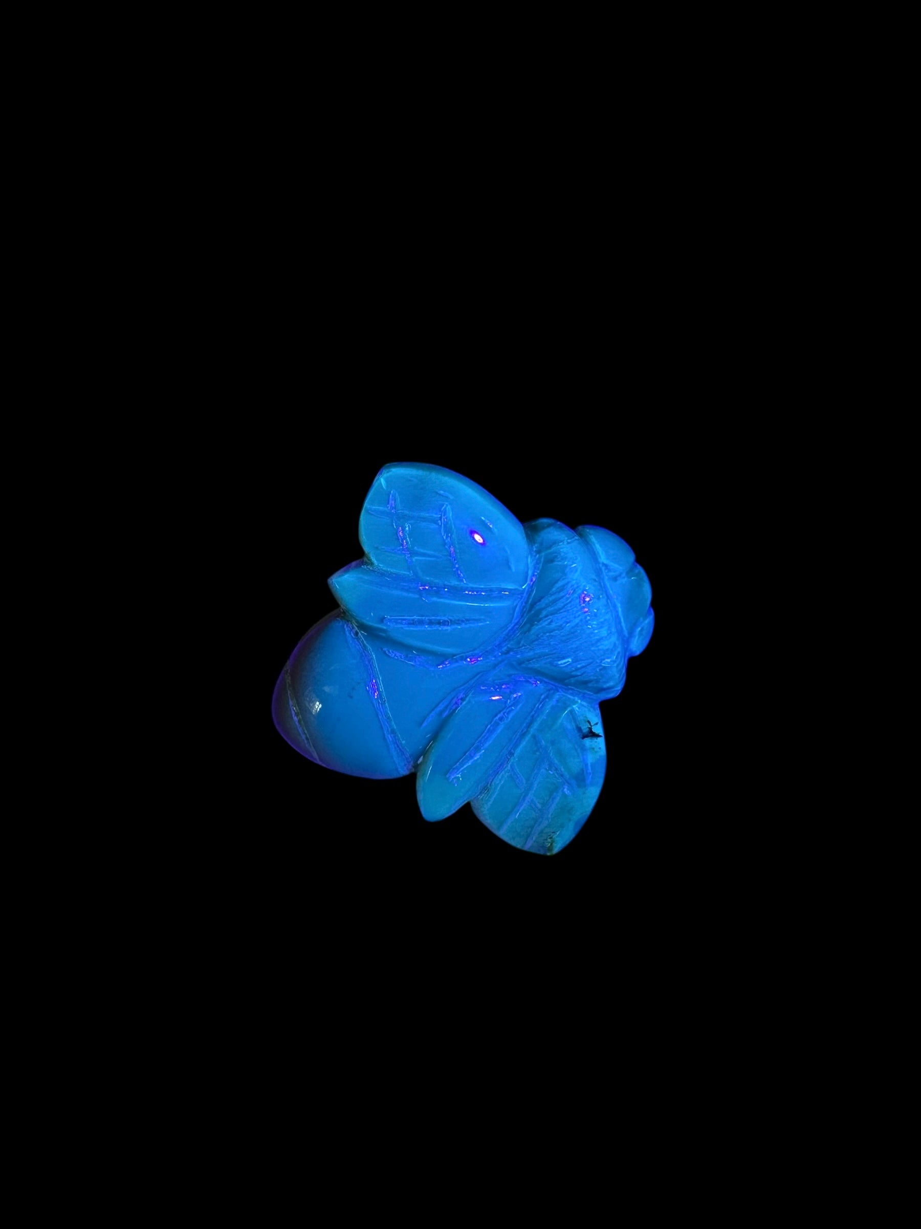 Amber bee – Sumatra, Indonesia - JV001