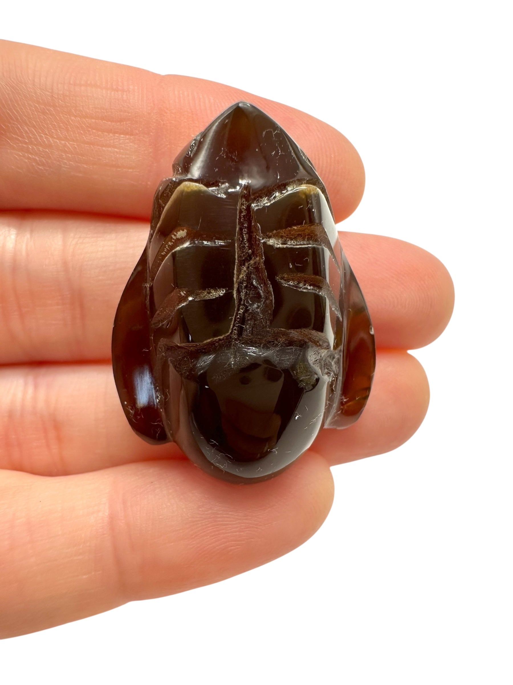 Amber bee – Sumatra, Indonesia - JV002