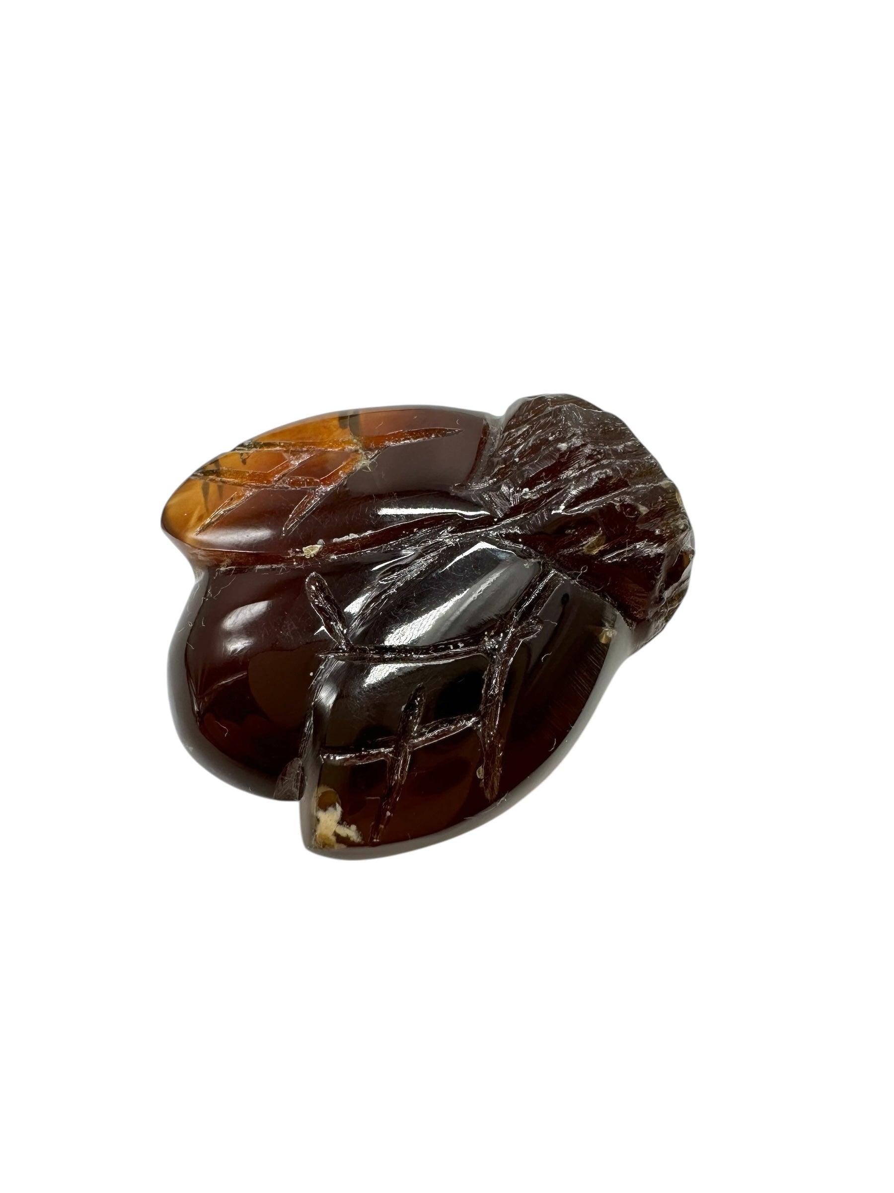 Amber bee – Sumatra, Indonesia - JV002