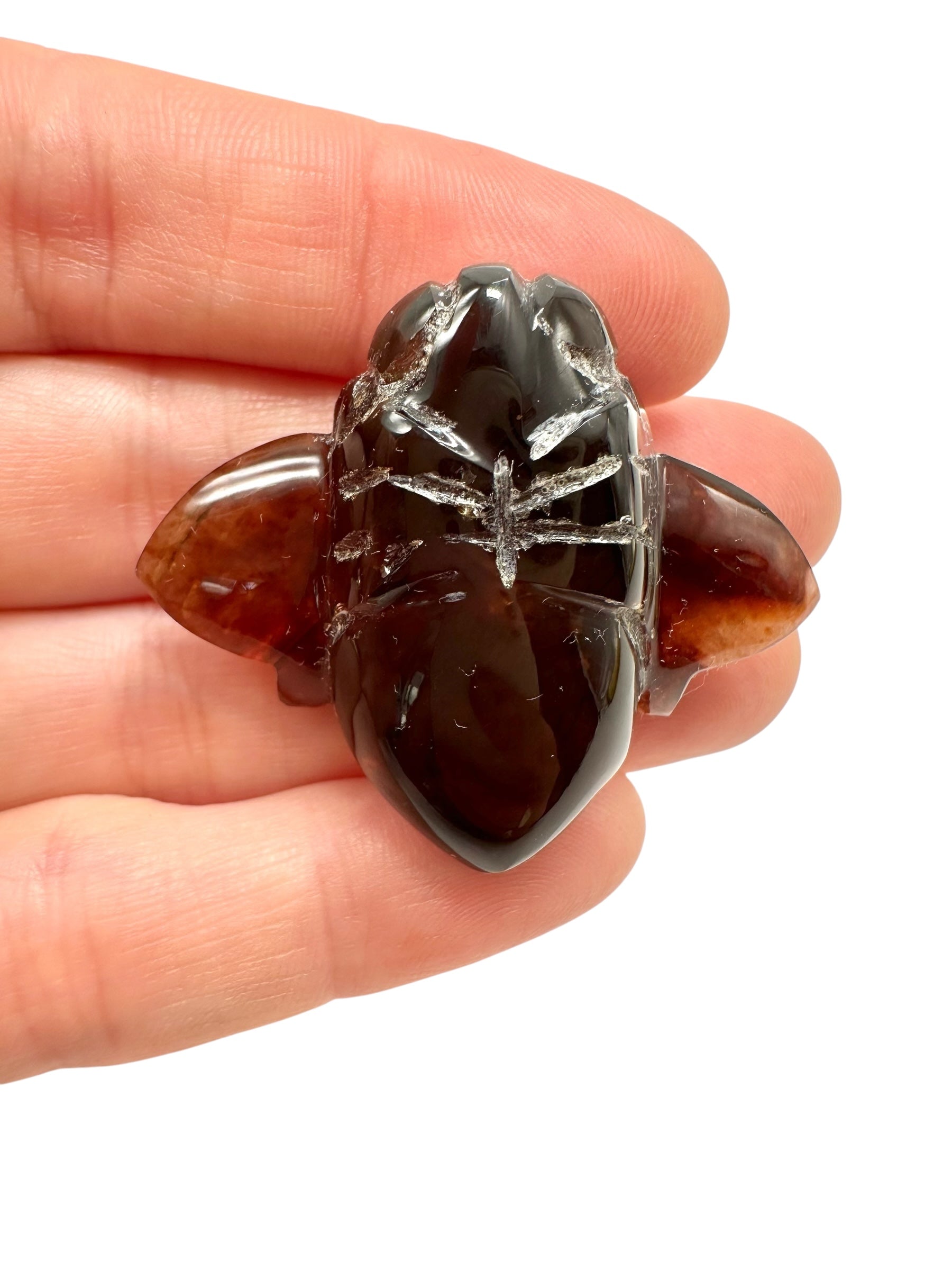 Amber bee – Sumatra, Indonesia - JV004