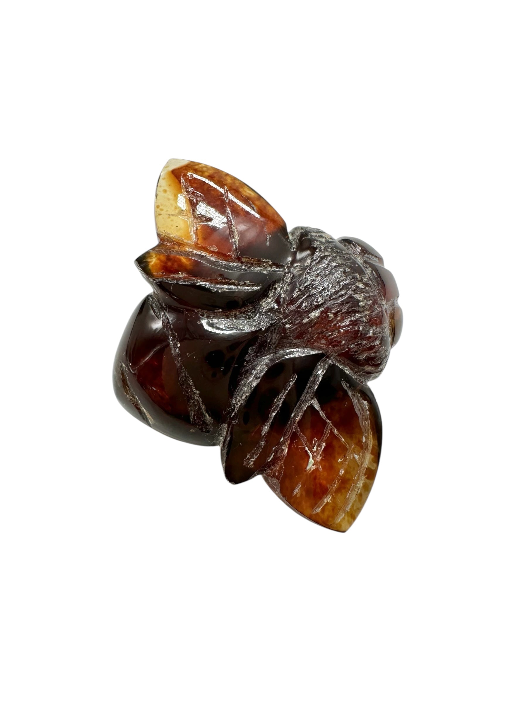 Amber bee – Sumatra, Indonesia - JV004