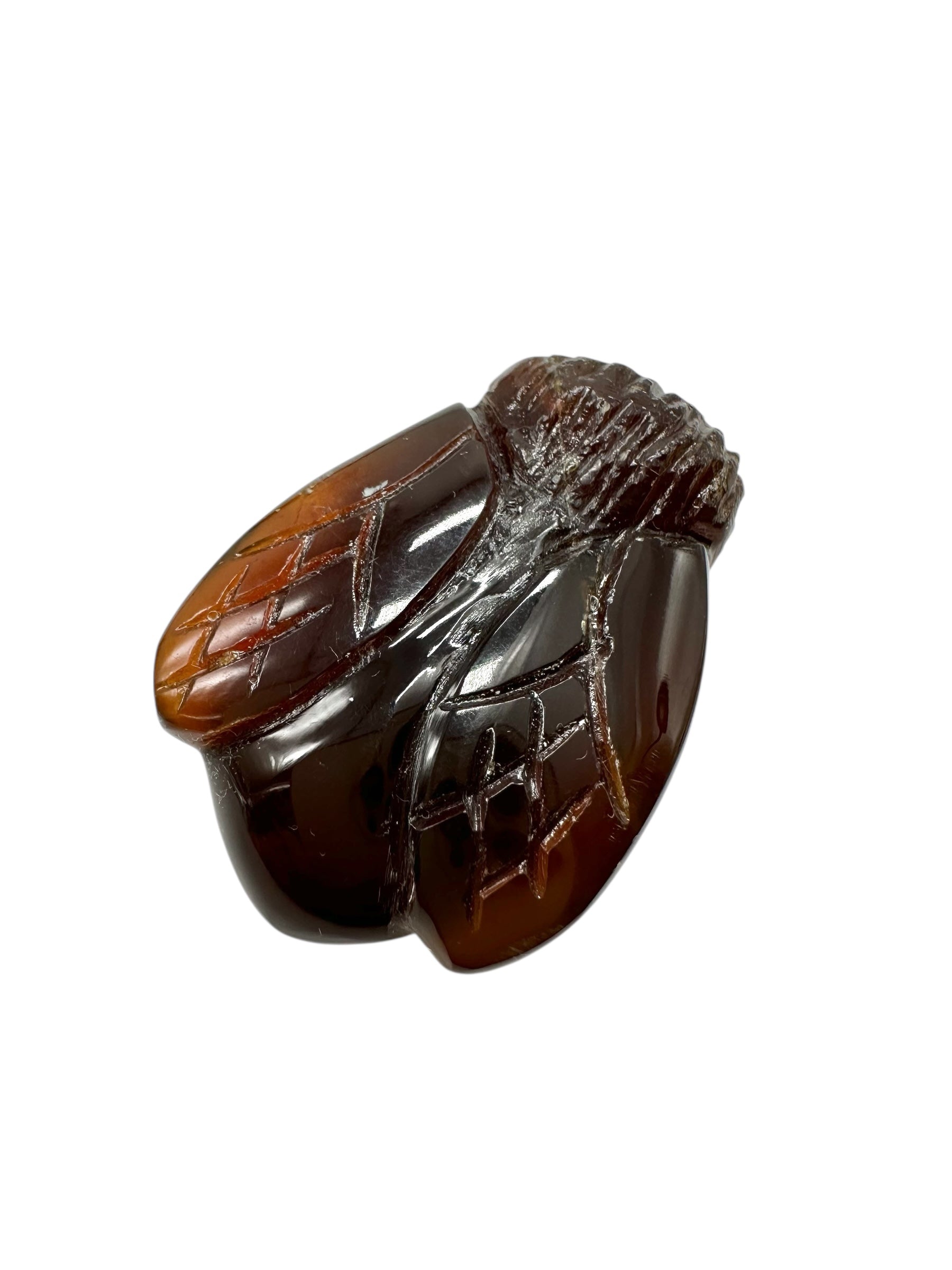 Amber bee – Sumatra, Indonesia - JV005