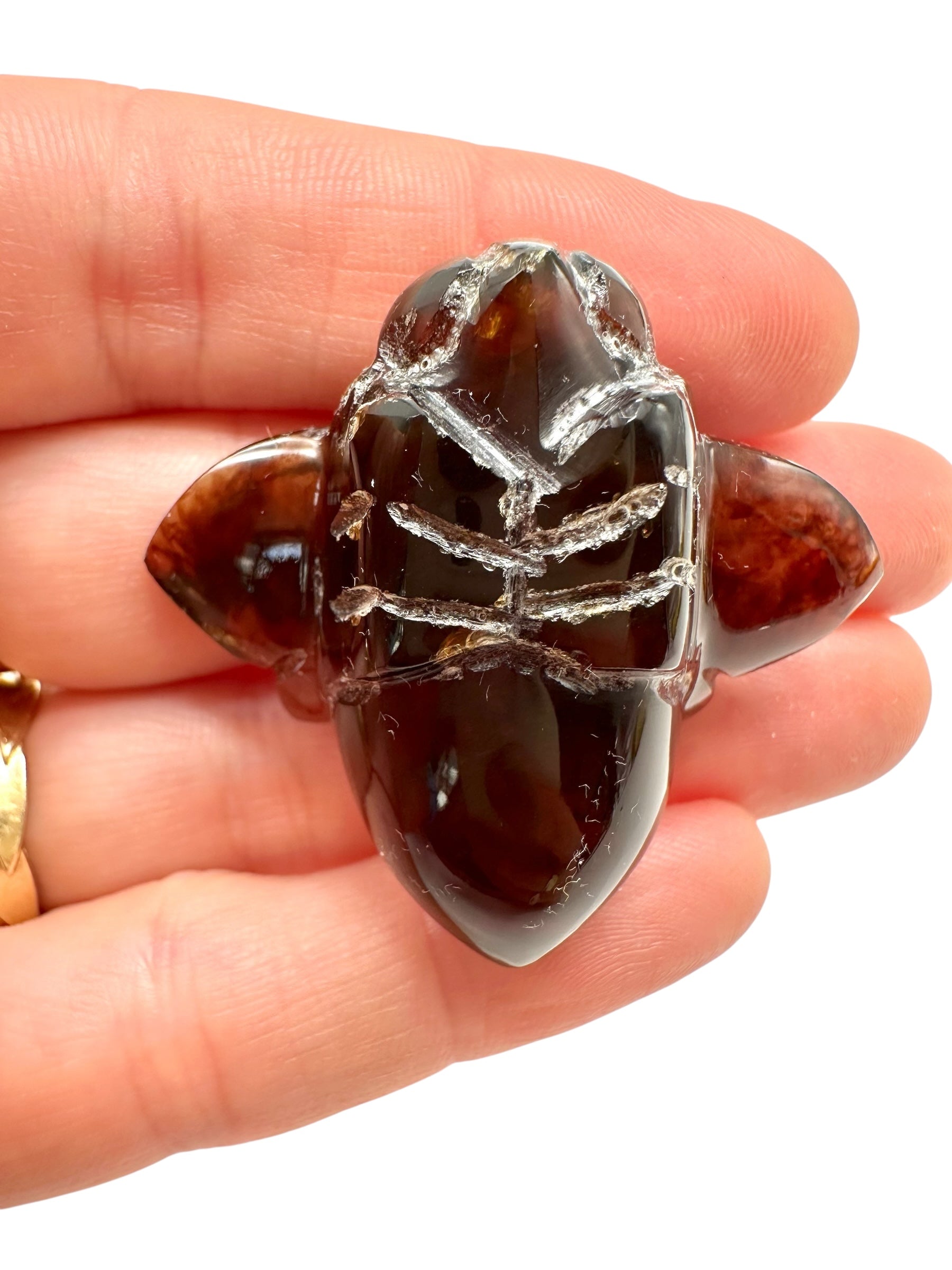 Amber bee – Sumatra, Indonesia - JV006