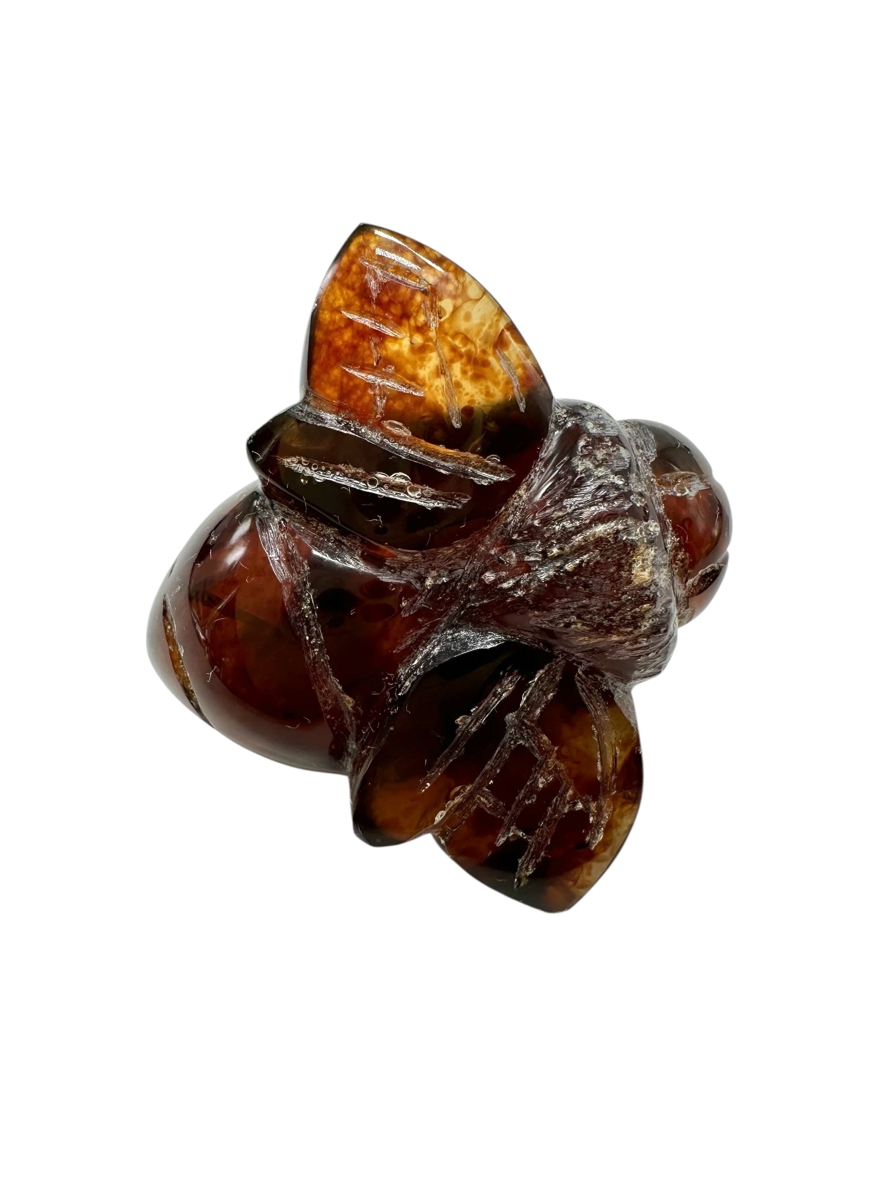 Amber bee – Sumatra, Indonesia - JV006