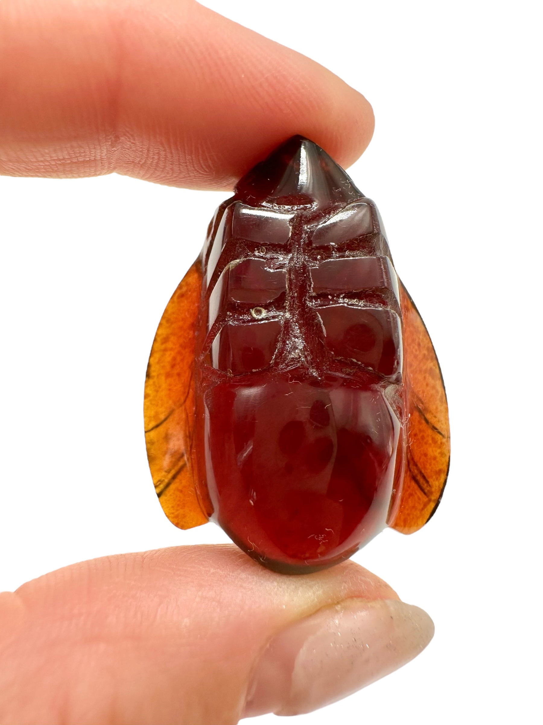 Amber bee – Sumatra, Indonesia - JV007
