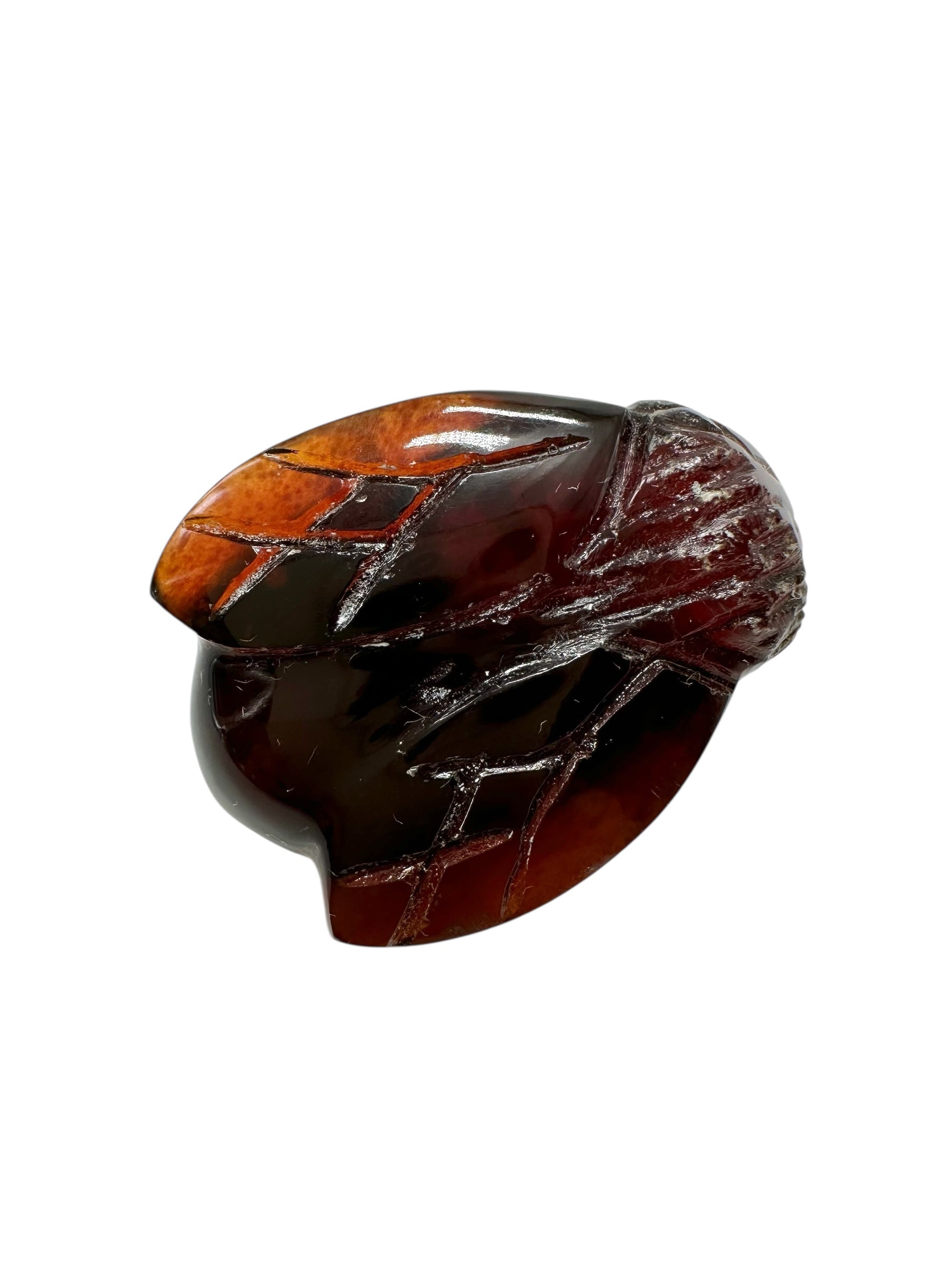 Amber bee – Sumatra, Indonesia - JV007