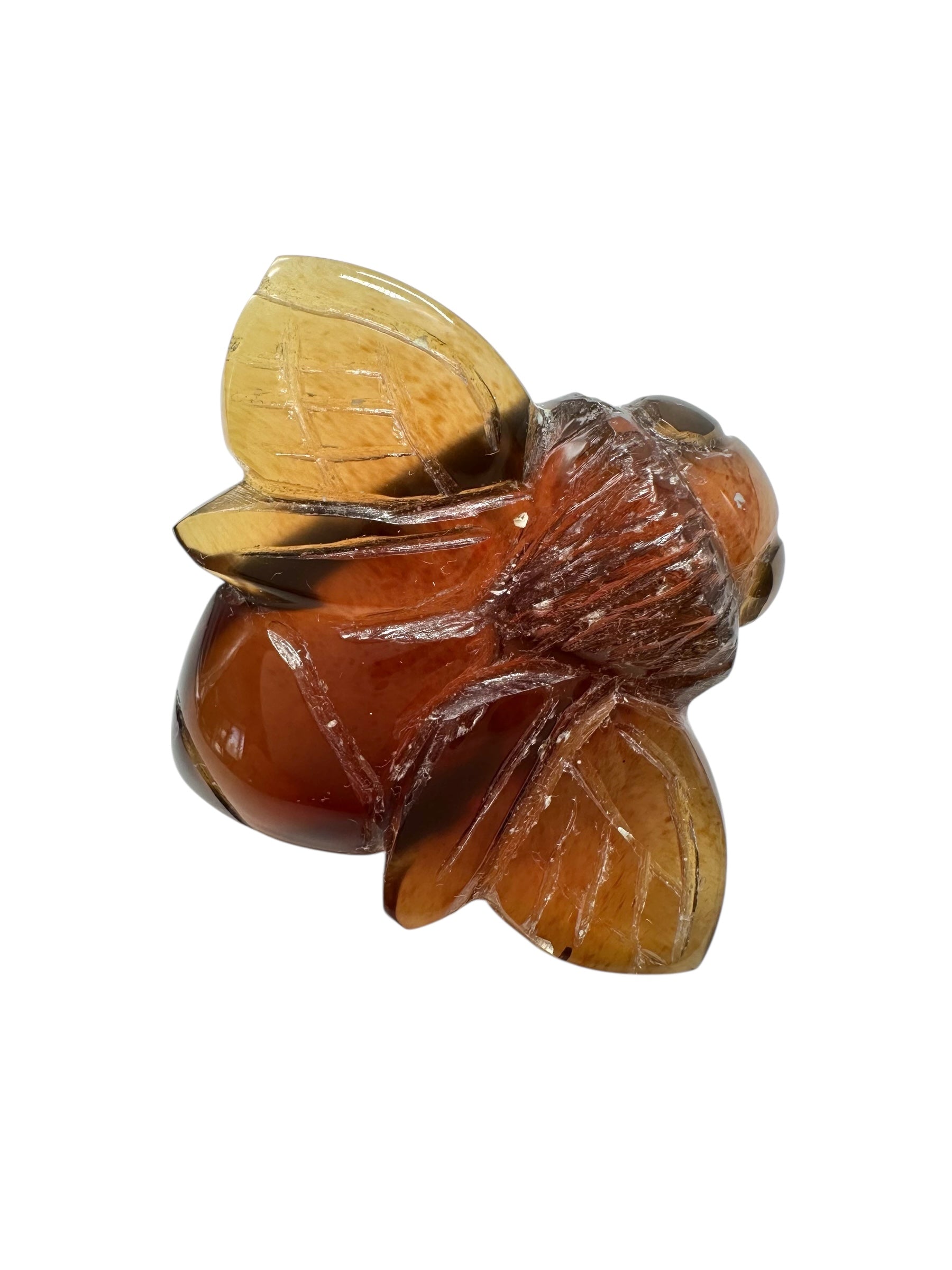 Amber bee – Sumatra, Indonesia - JV008