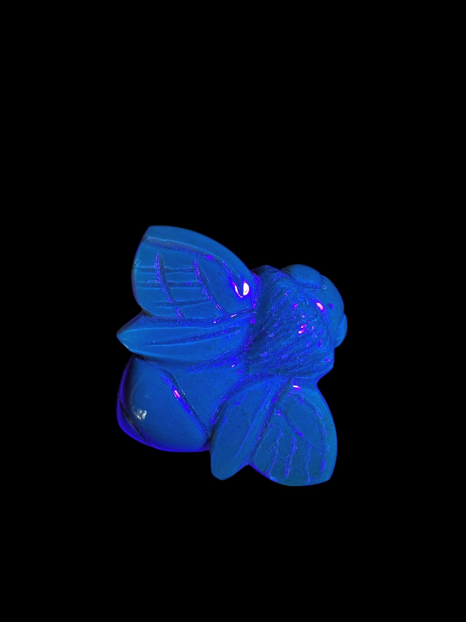Amber bee – Sumatra, Indonesia - JV008