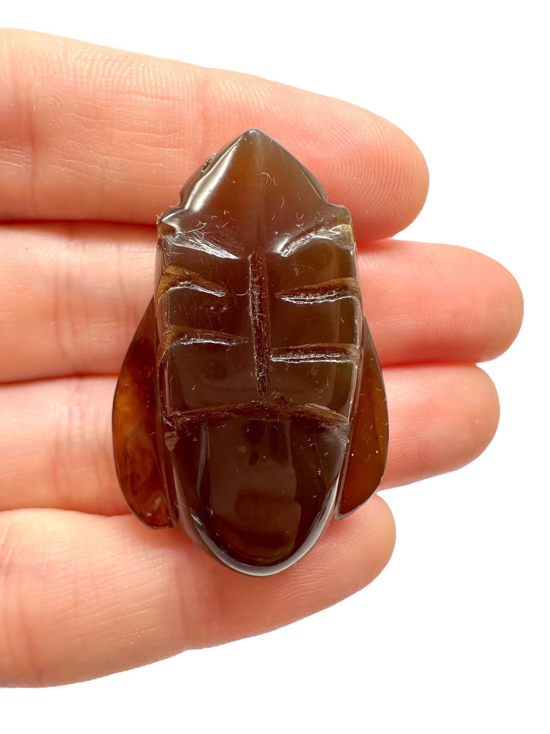 Amber bee – Sumatra, Indonesia - JV012