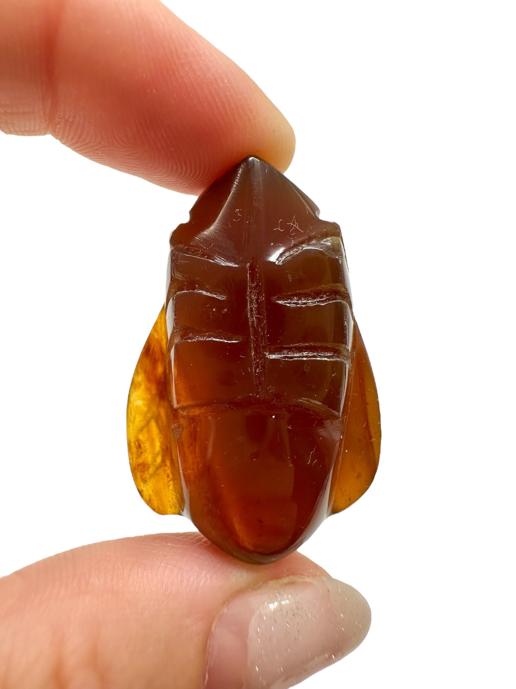 Amber bee – Sumatra, Indonesia - JV012