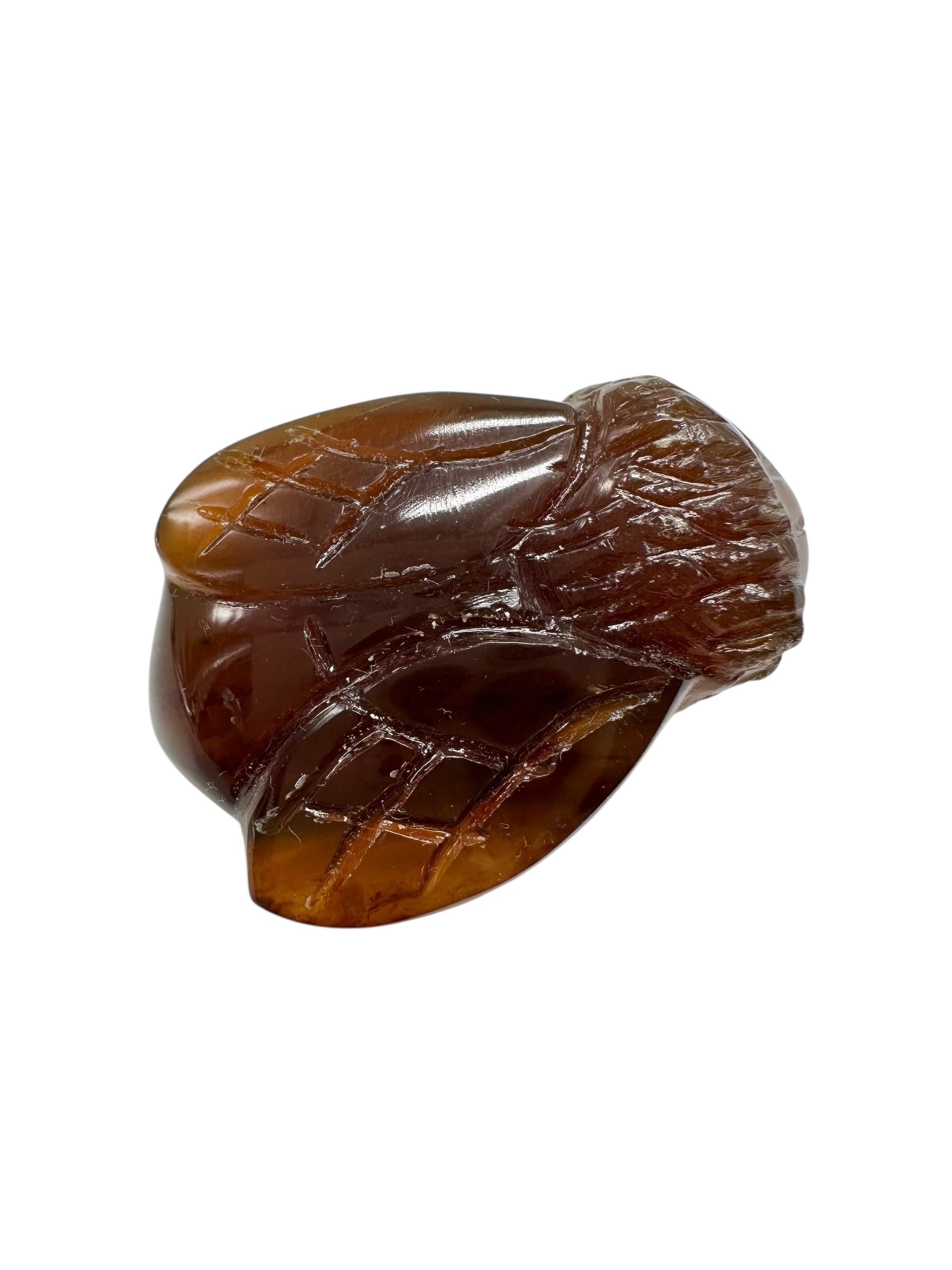 Amber bee – Sumatra, Indonesia - JV012