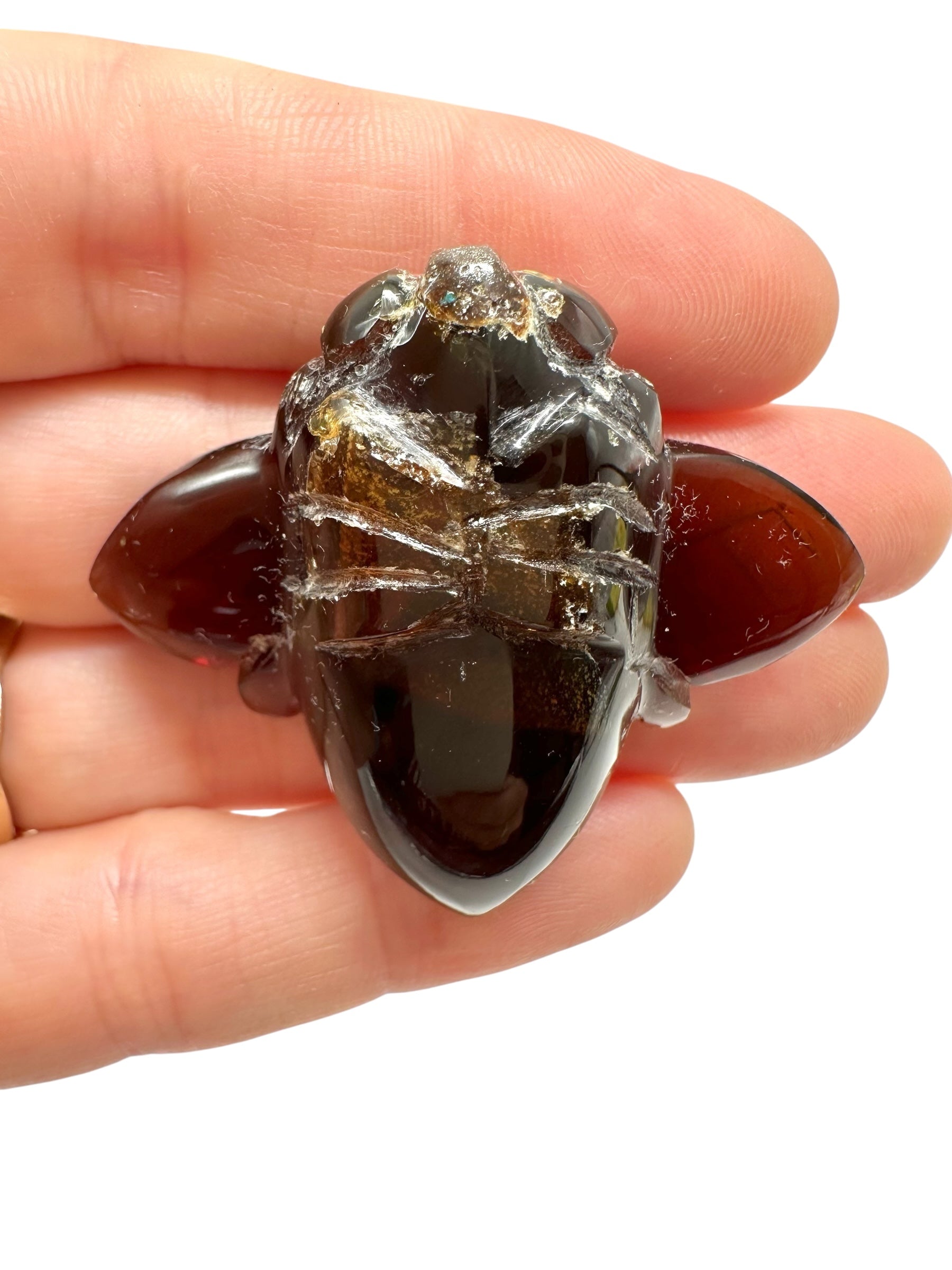 Amber bee – Sumatra, Indonesia - JV014