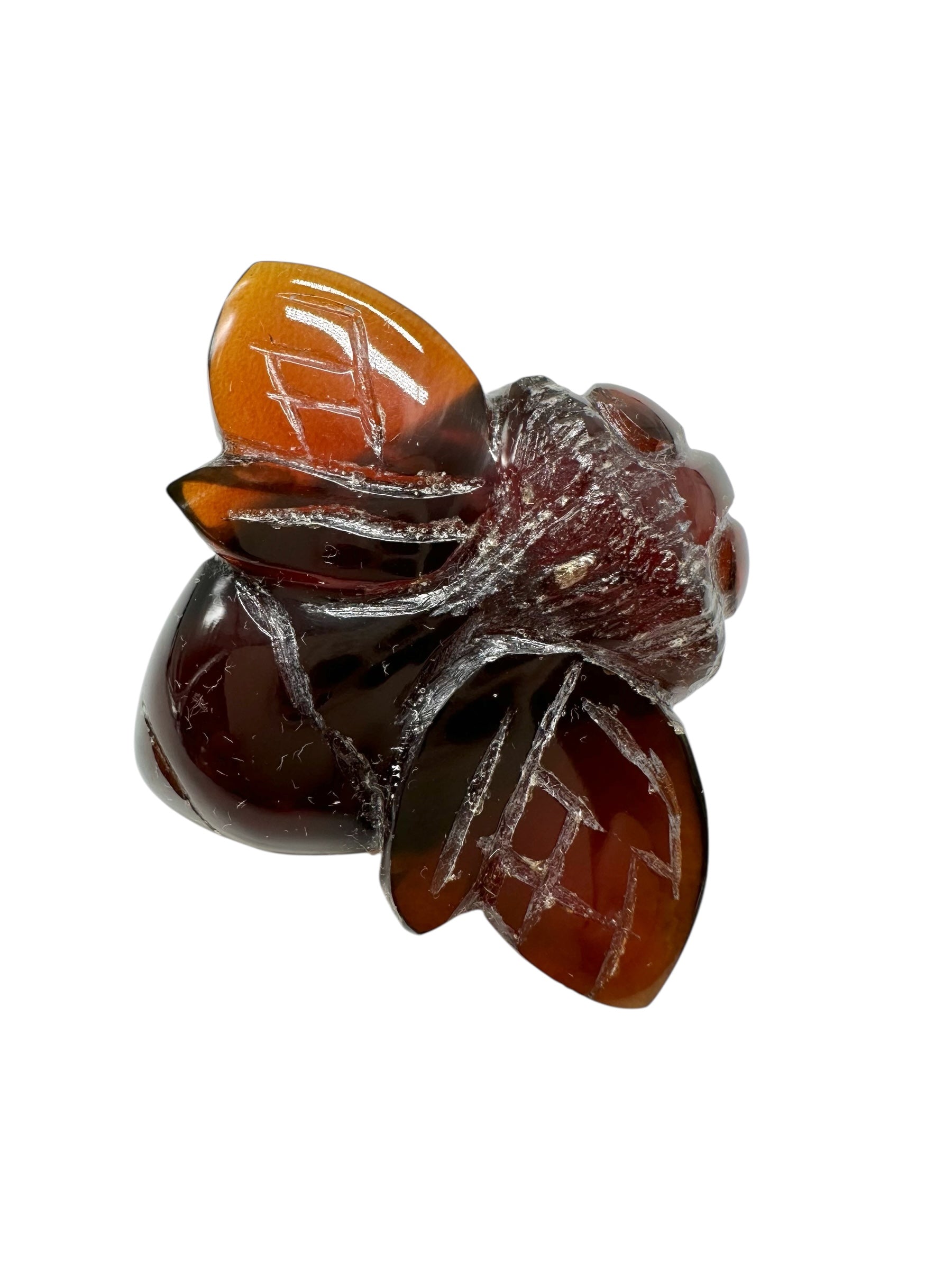 Amber bee – Sumatra, Indonesia - JV014