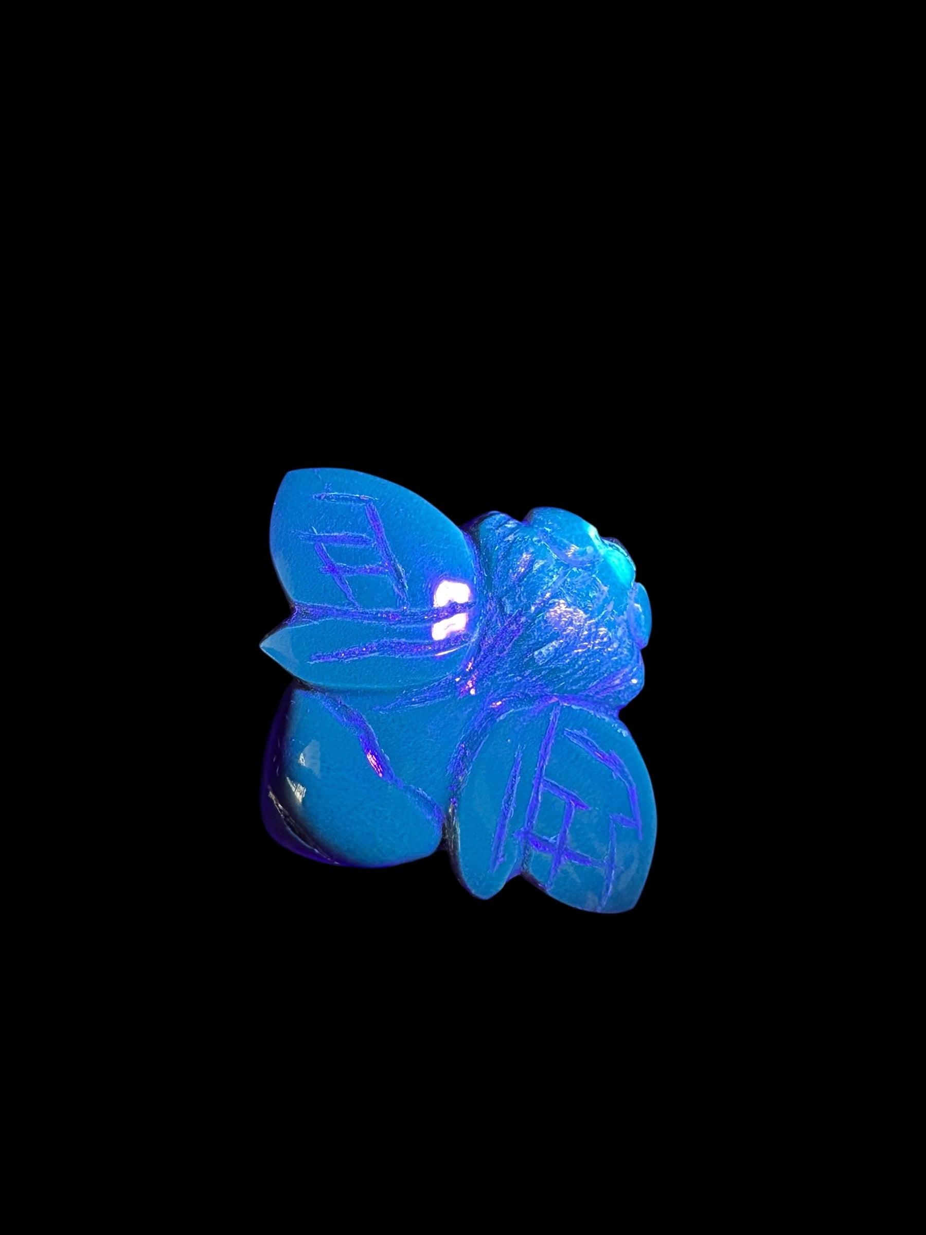 Amber bee – Sumatra, Indonesia - JV014