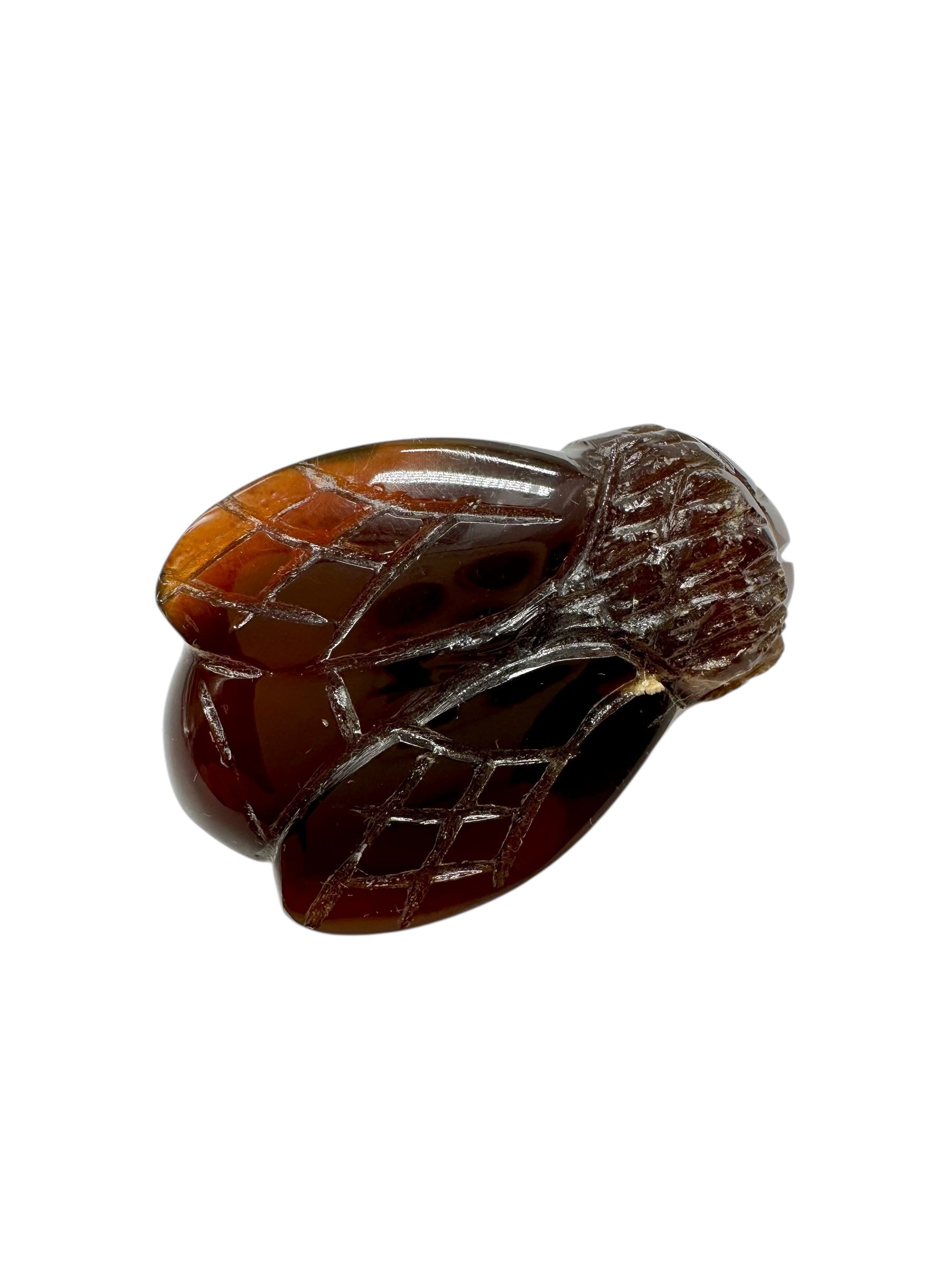 Amber bee – Sumatra, Indonesia - JV019