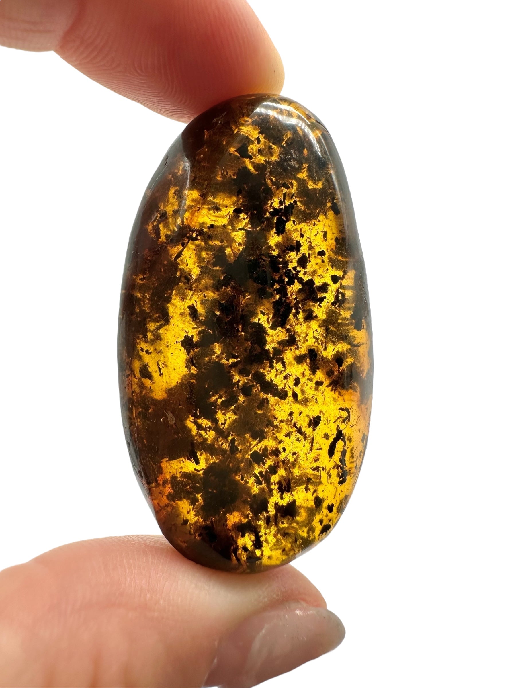 Amber 11,1g – Lithuania - JN526