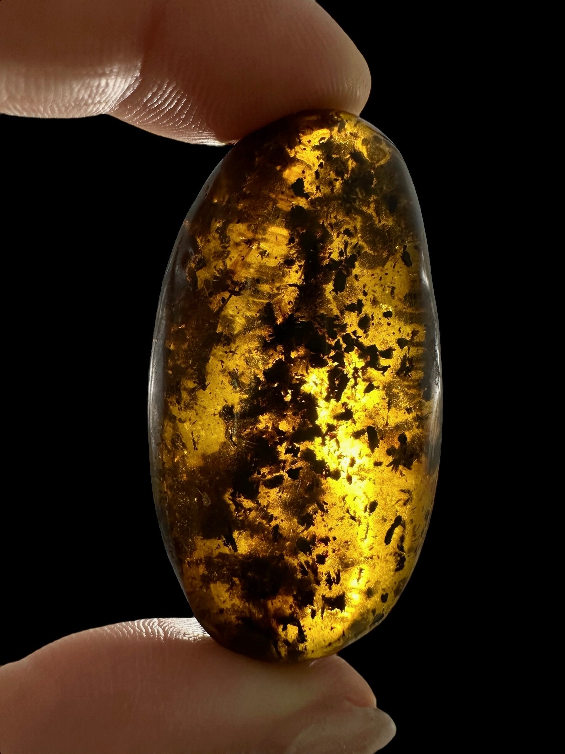 Amber 11,1g – Lithuania - JN526