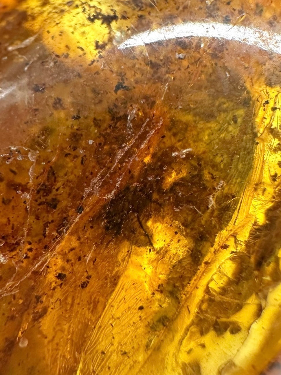 Insects in amber – Lithuania – 13,9g - IJ160