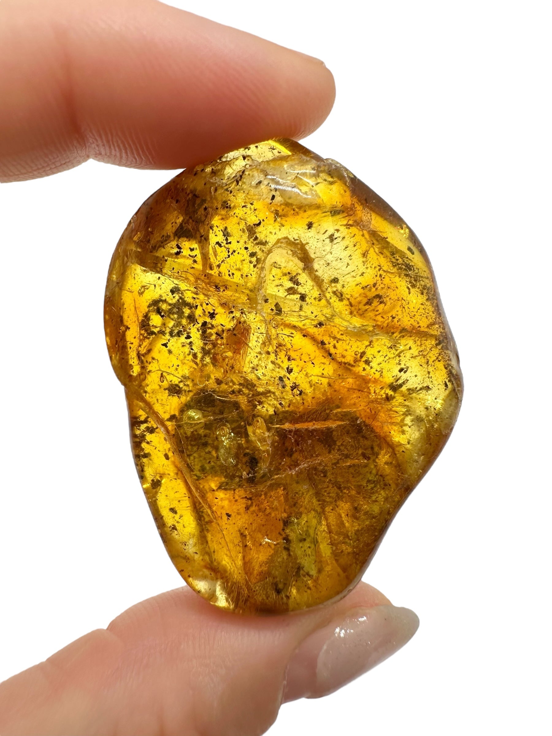 Insects in amber – Lithuania – 13,9g - IJ160