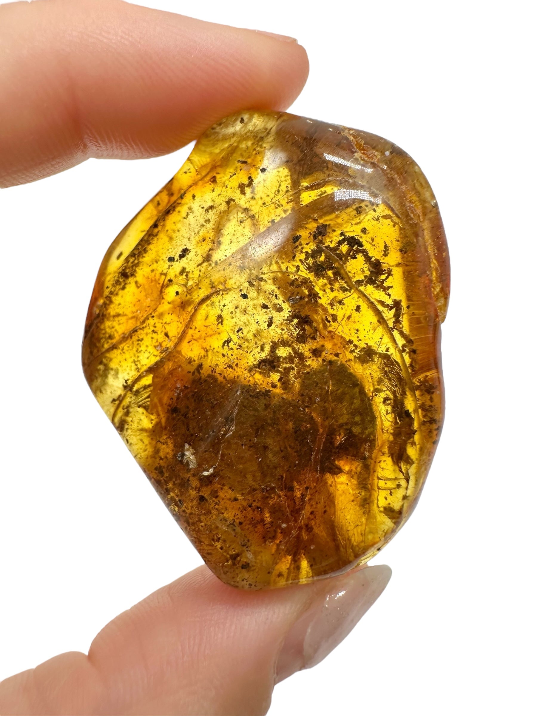 Insects in amber – Lithuania – 13,9g