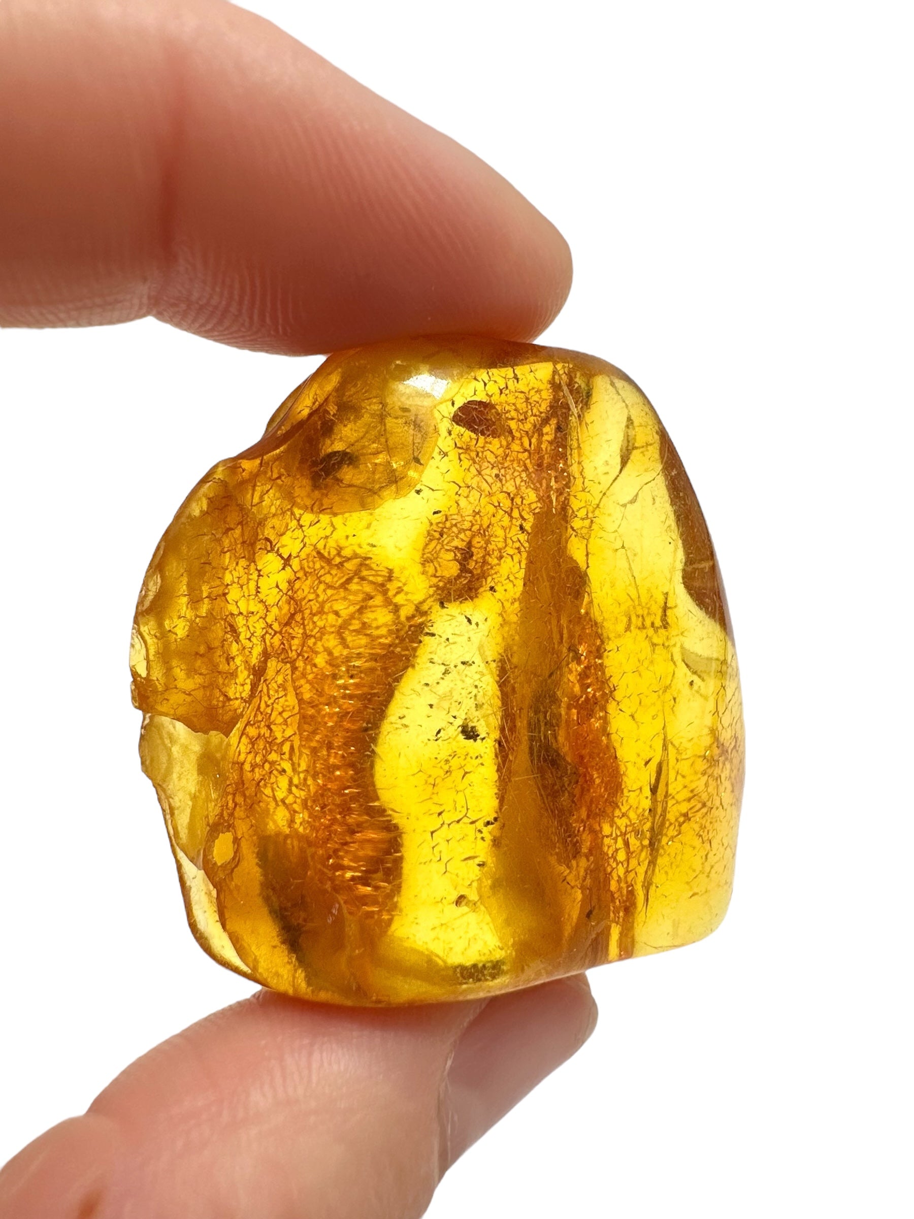 Insects in amber – Lithuania – 11,1g - IJ161