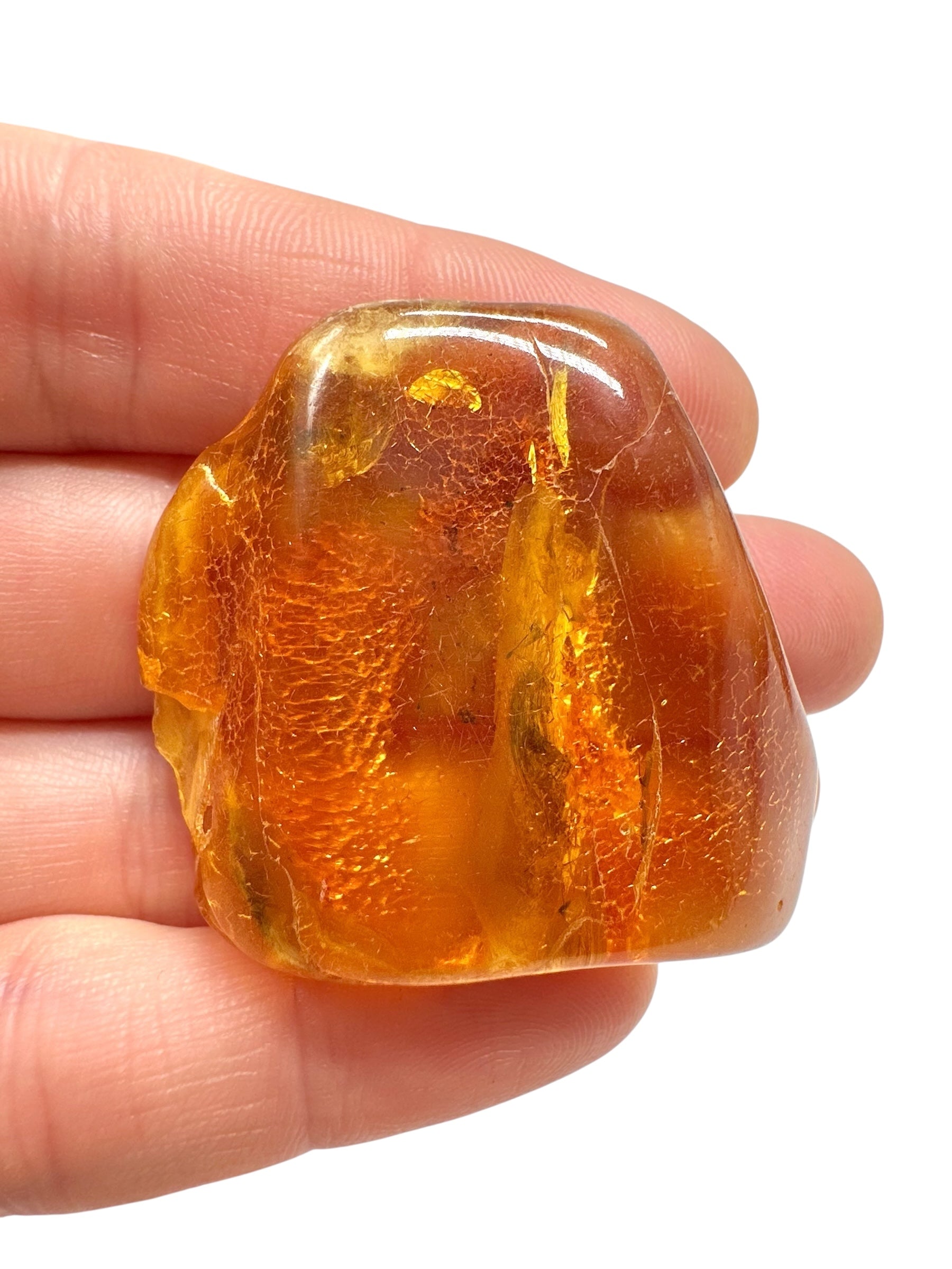 Insects in amber – Lithuania – 11,1g - IJ161