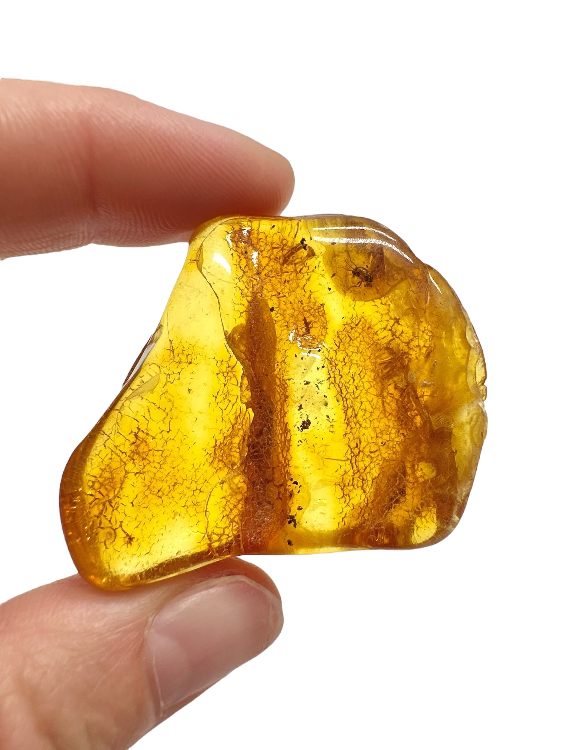Insects in amber – Lithuania – 11,1g - IJ161