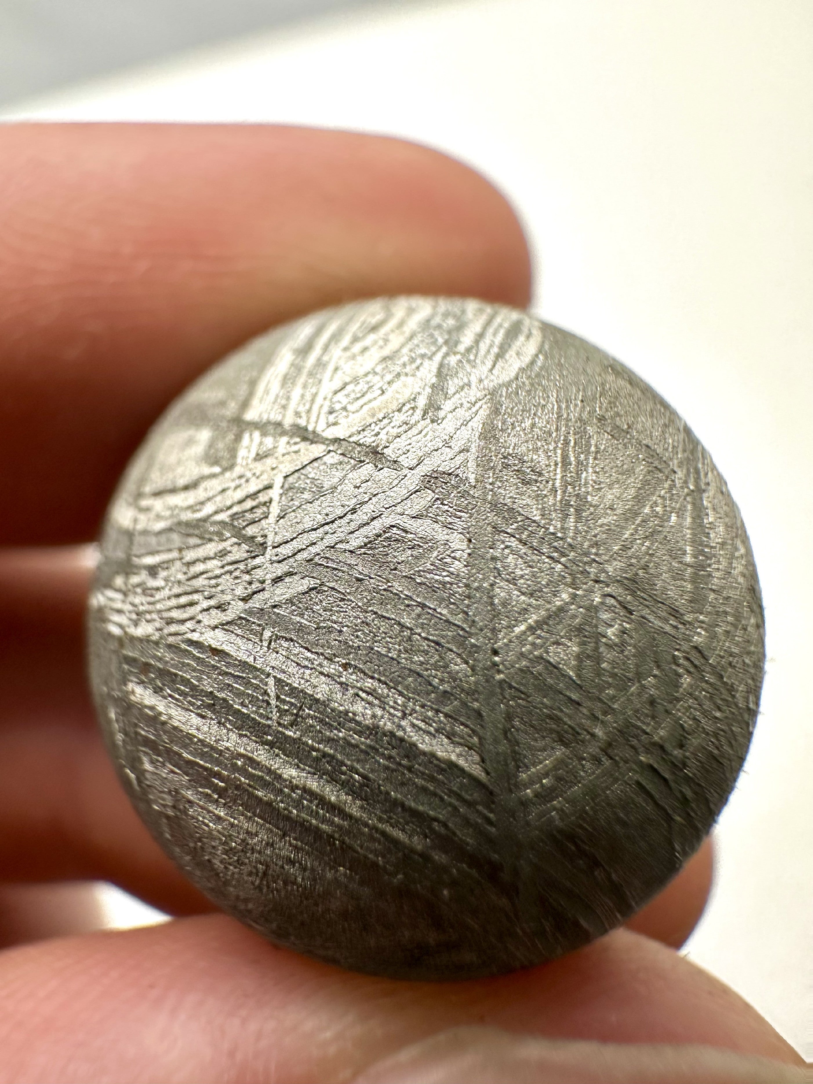 Meteorite Muonionalusta – Norrbotten, Sweden - MEMO03