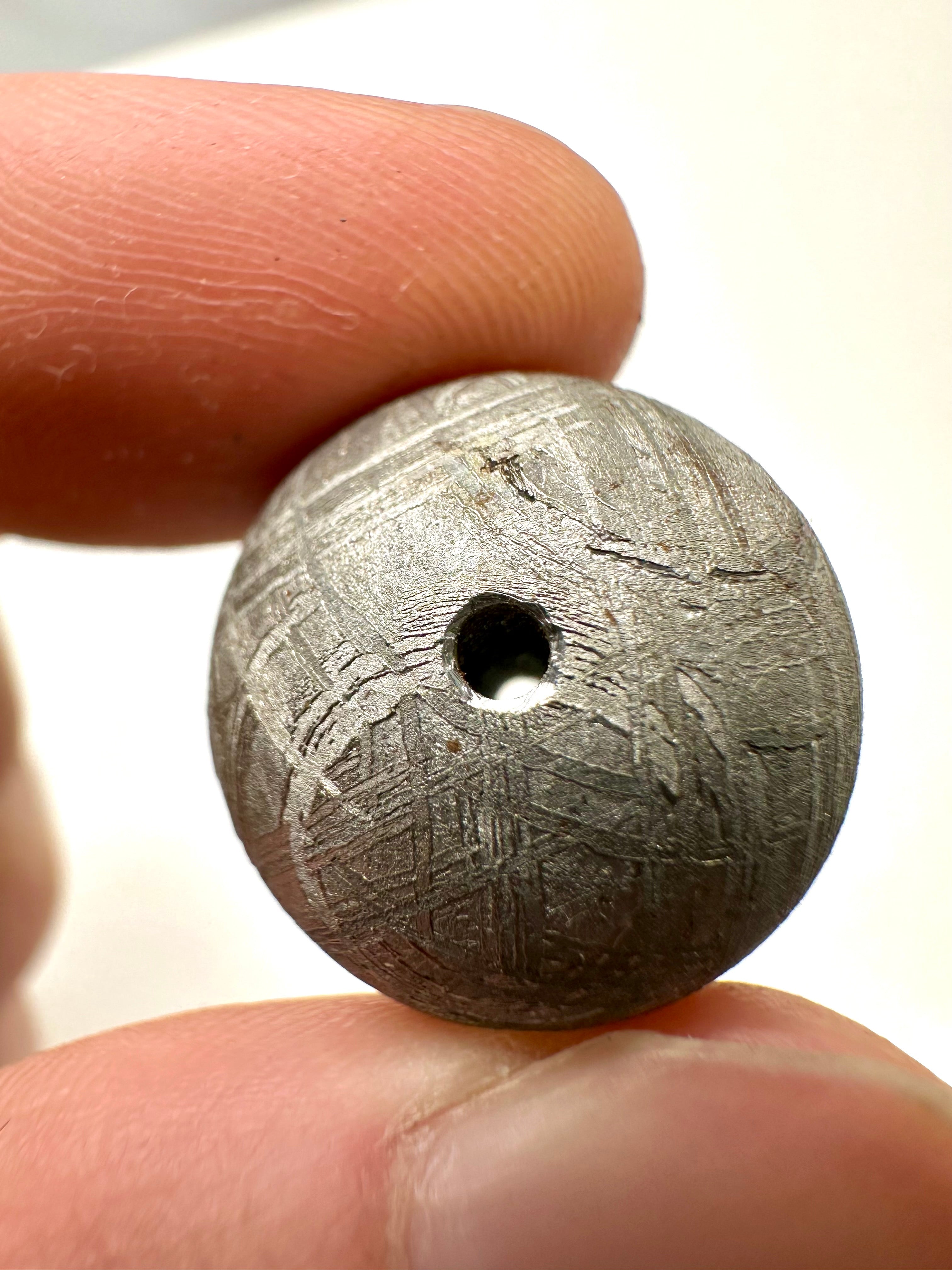 Meteorite Muonionalusta – Norrbotten, Sweden