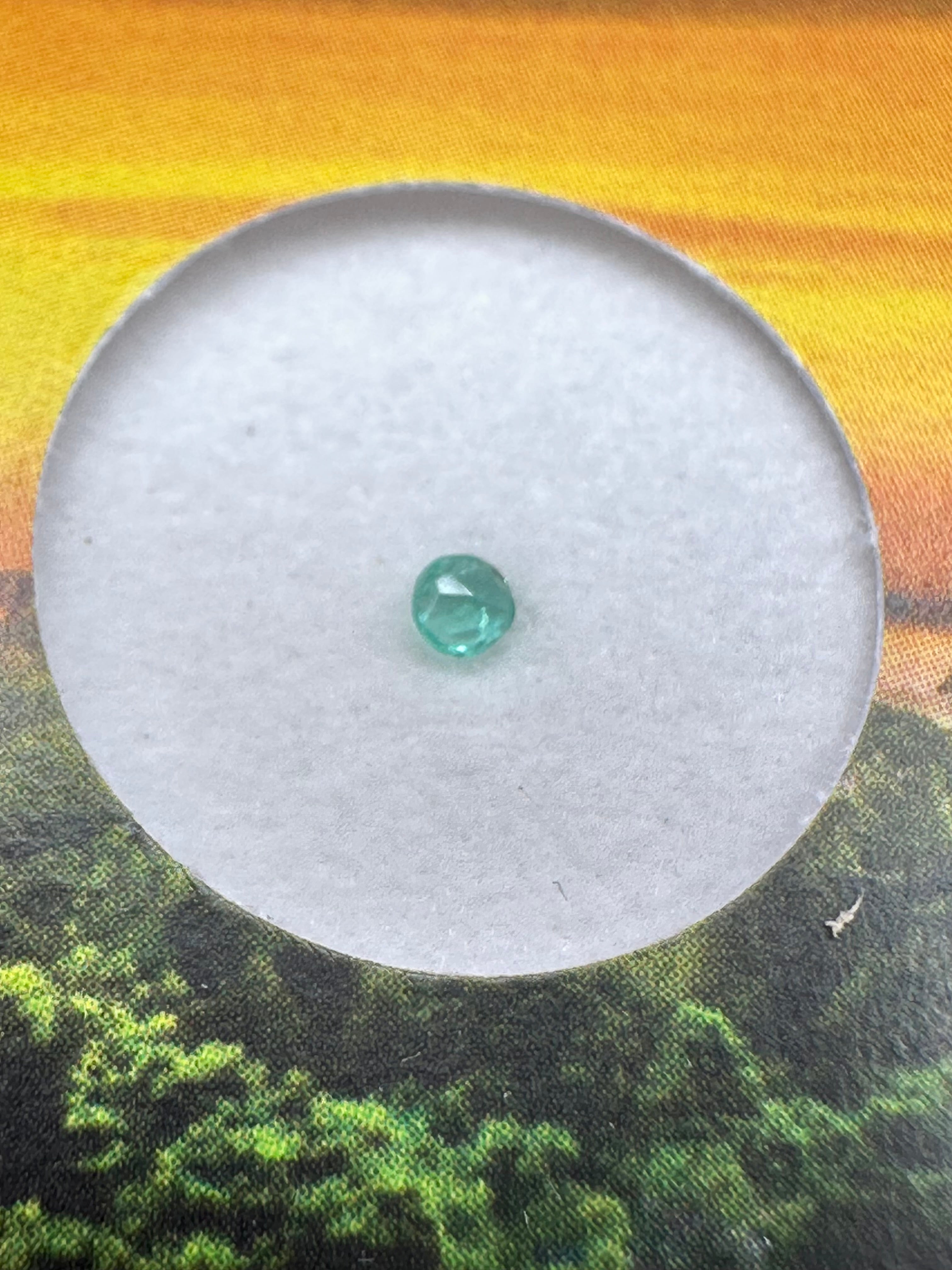 Emerald cut in box – Colombia - SM172