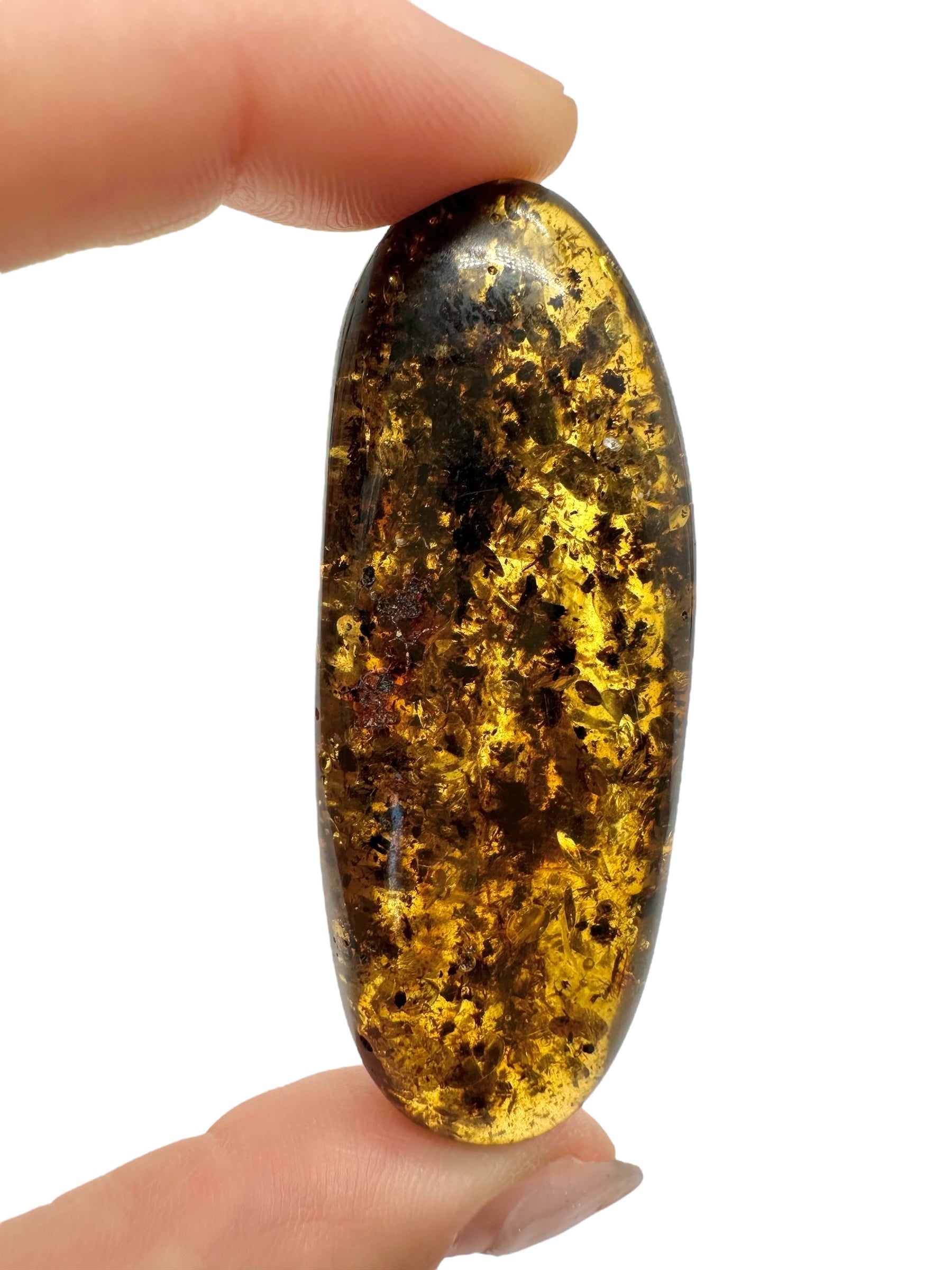 Amber 13,3g – Lithuania - JN531