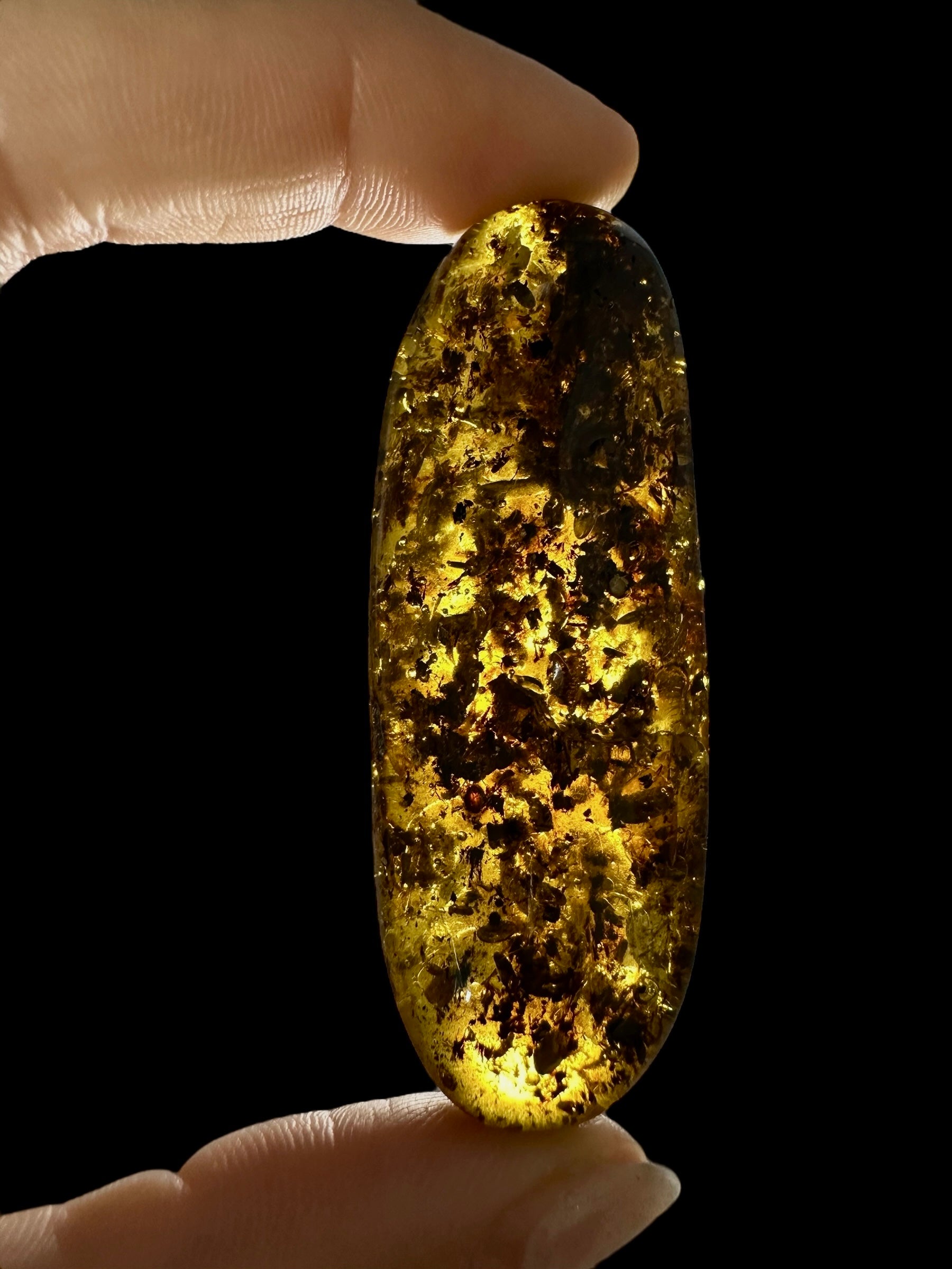 Amber 13,3g – Lithuania - JN531