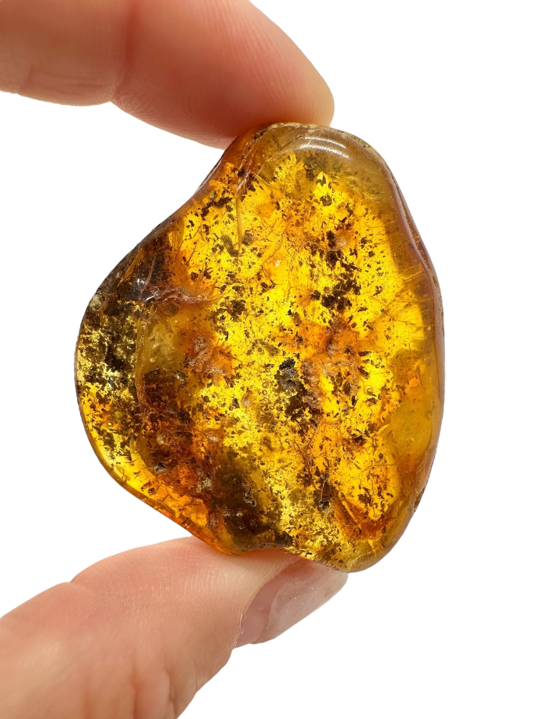 Amber 14,6g – Lithuania - JN532
