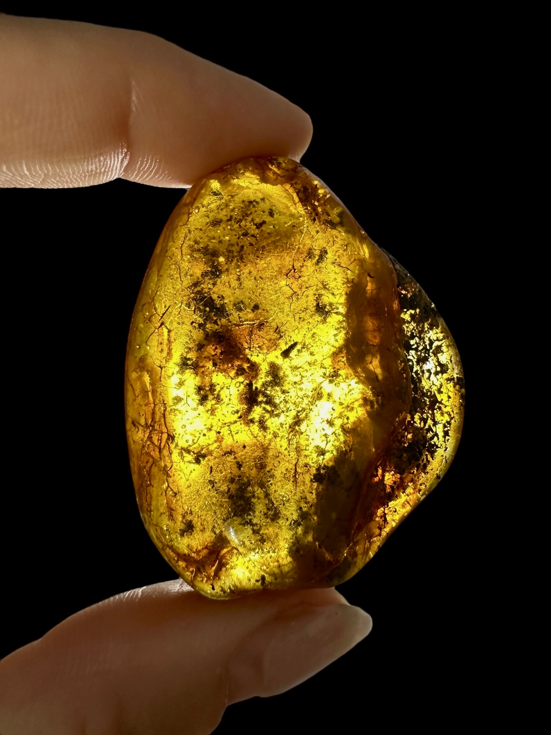 Amber 14,6g – Lithuania - JN532