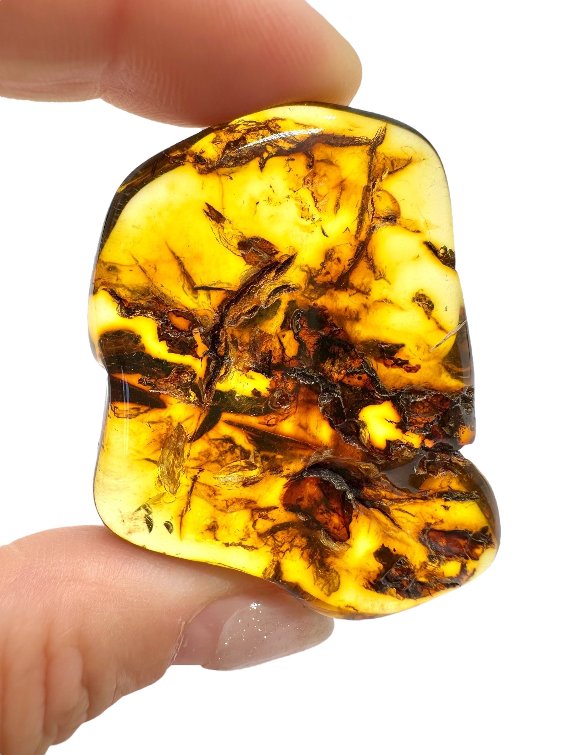 Amber 14,6g – Lithuania - JN533