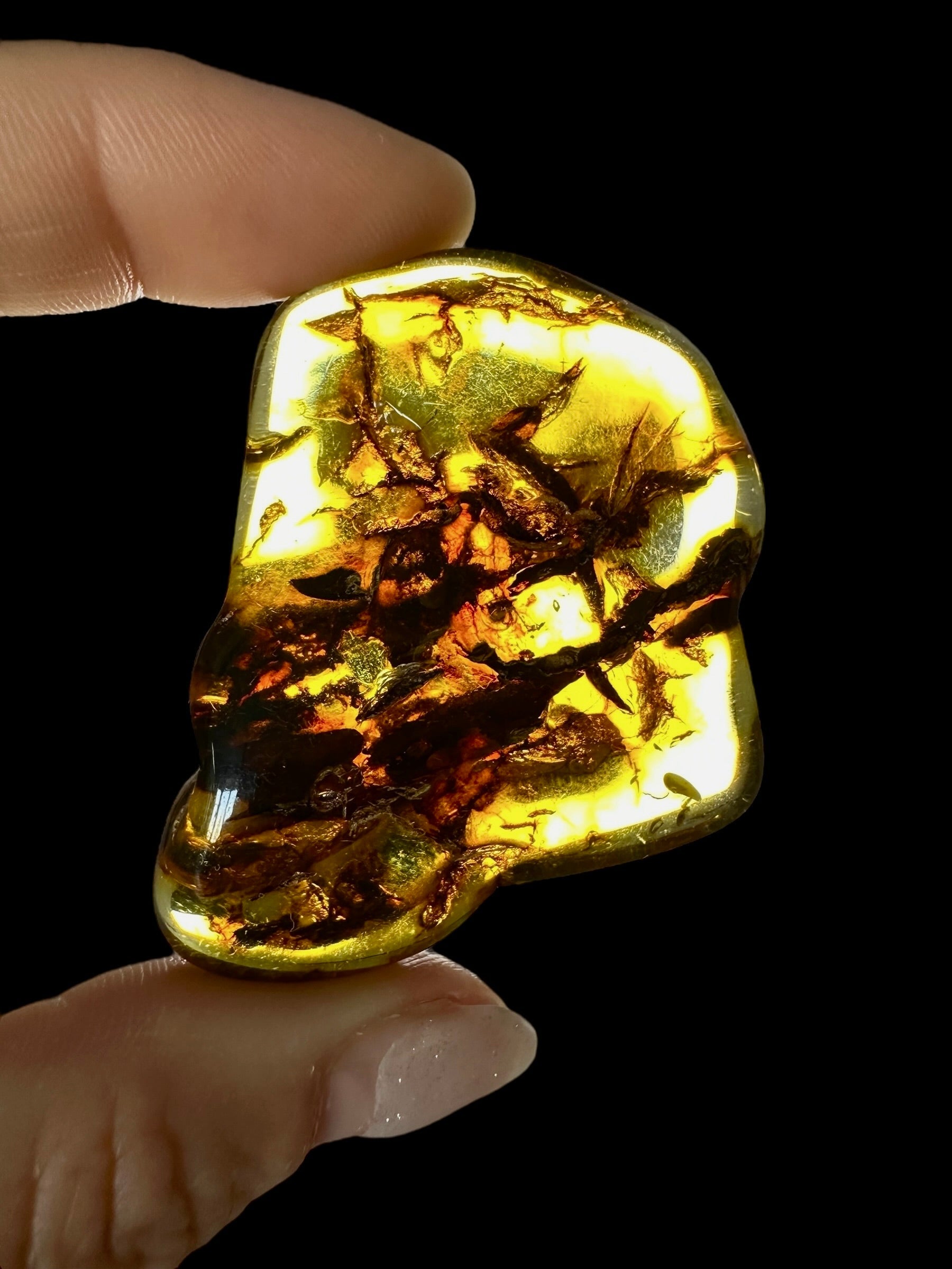 Amber 14,6g – Lithuania - JN533