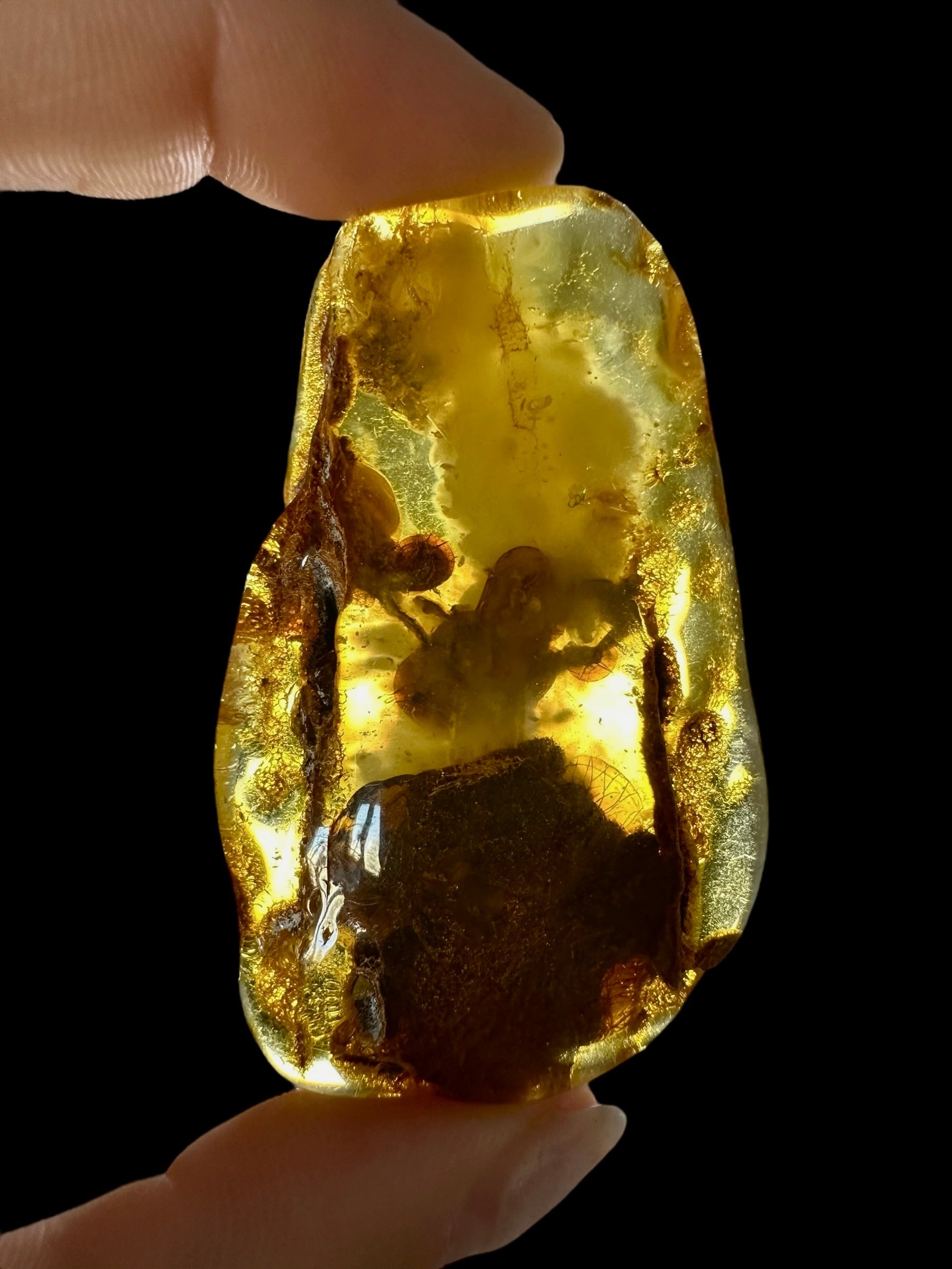Amber 15,8g – Lithuania - JN534
