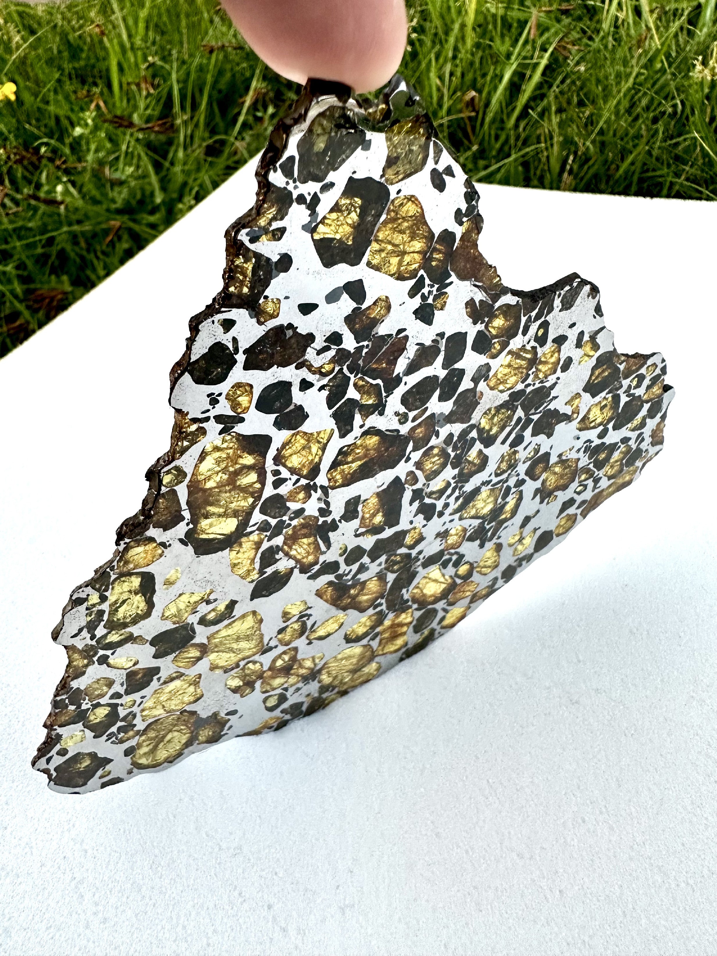 Meteorite Imilac 125g – Chile - MEIM02