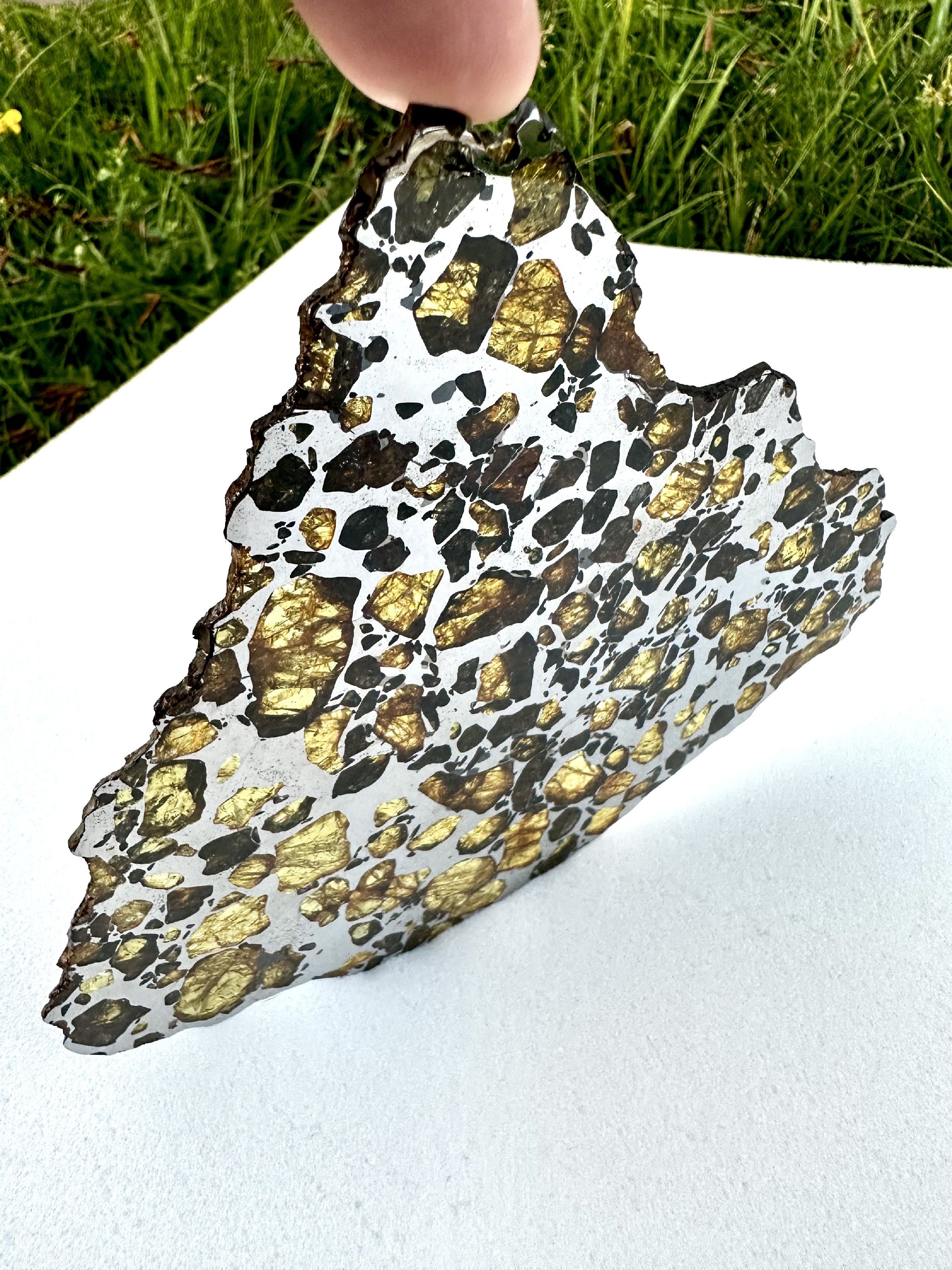 Meteorite Imilac 125g – Chile - MEIM02