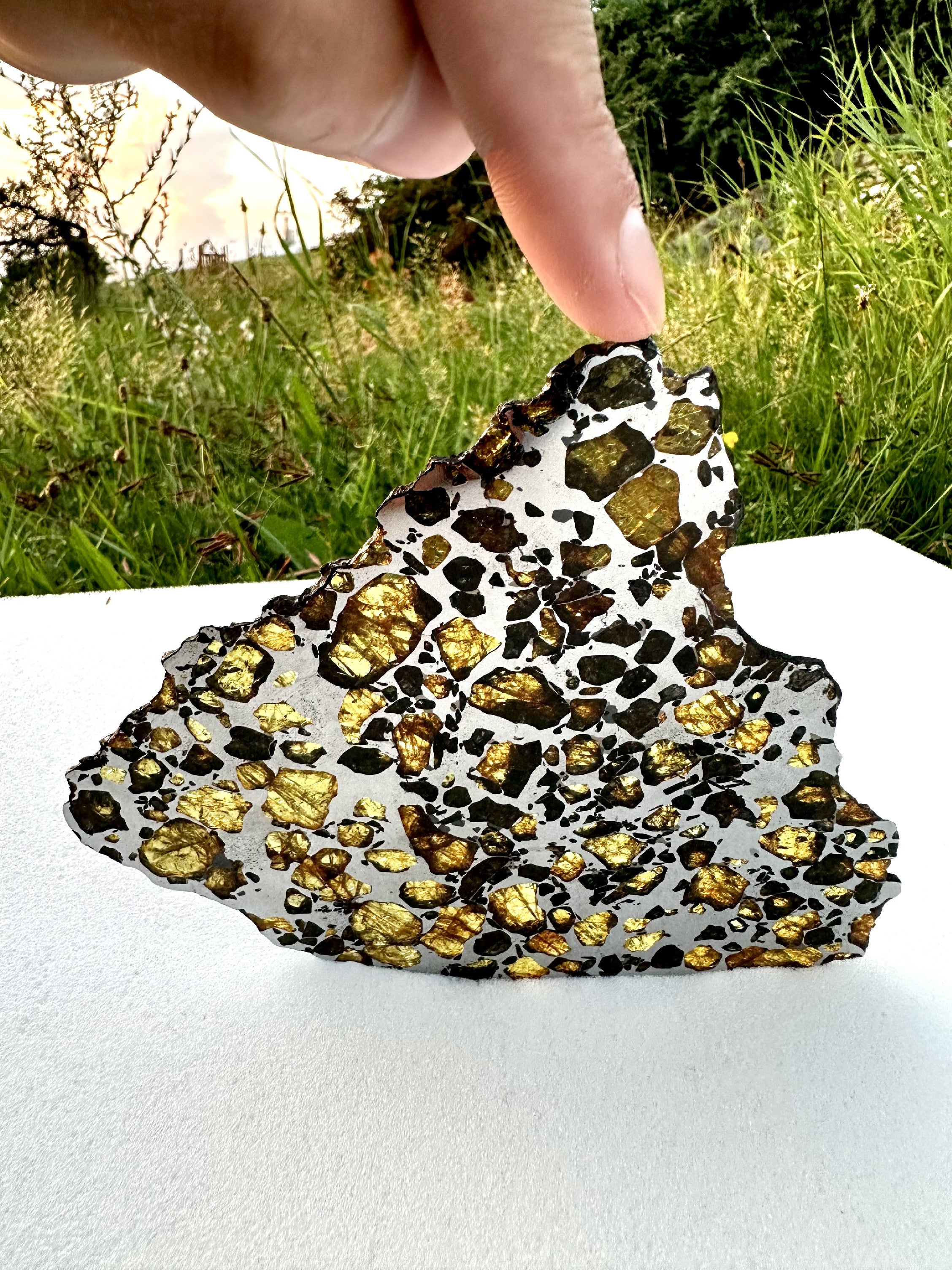 Meteorite Imilac 125g – Chile - MEIM02