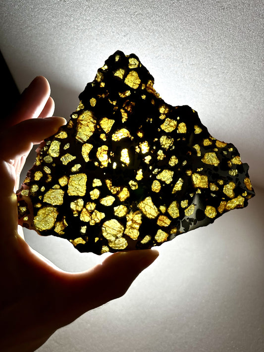 Meteorite Imilac – Chile