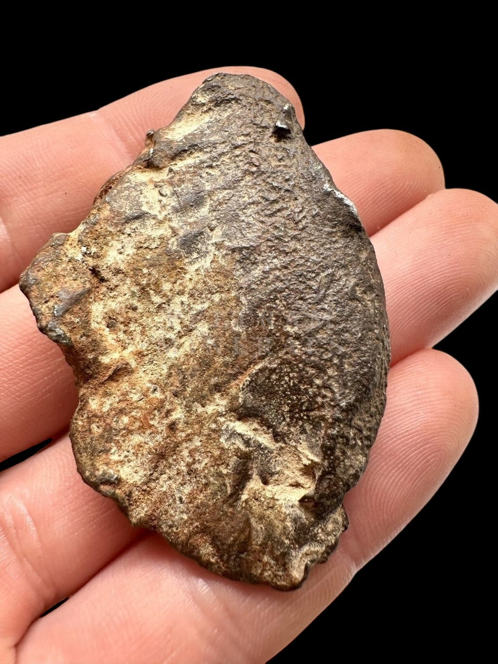 Meteorite Gebel Kamil 65,4g – Egypt - MEGE11