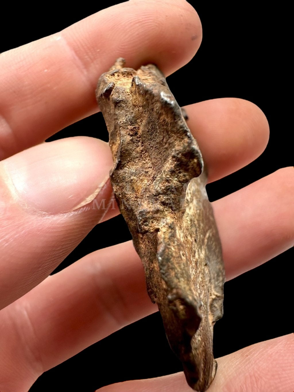 Meteorite Gebel Kamil 65,4g – Egypt - MEGE11