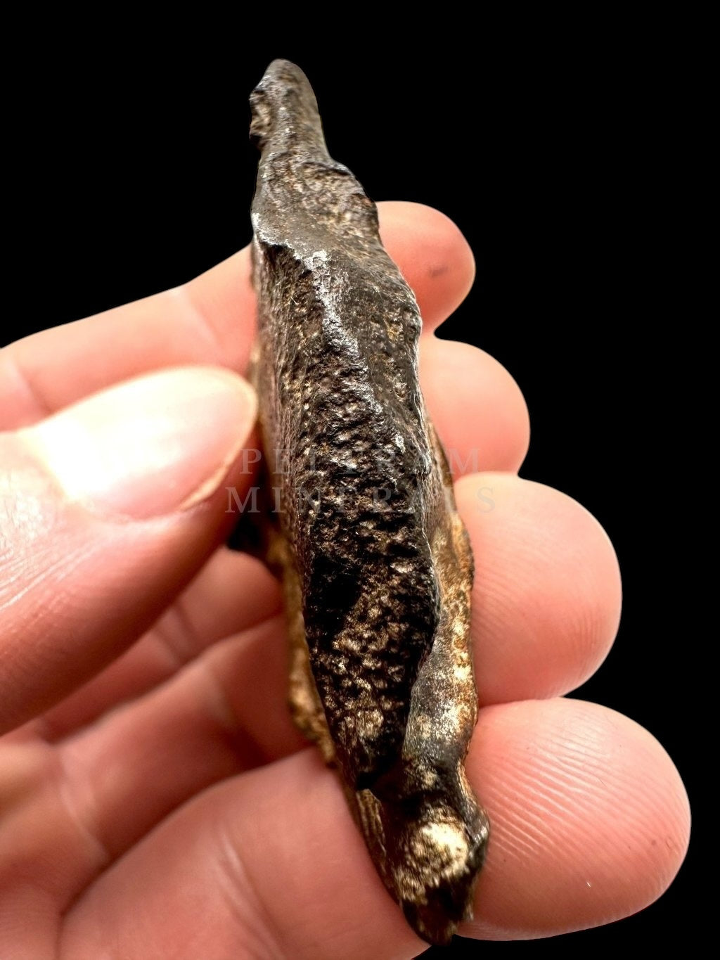 Meteorite Gebel Kamil 65,4g – Egypt - MEGE11