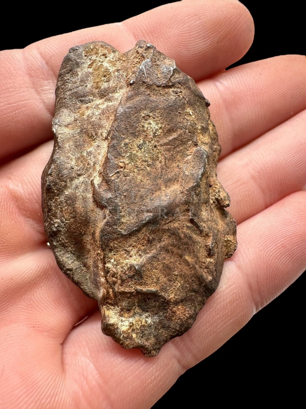 Meteorite Gebel Kamil 65,4g – Egypt