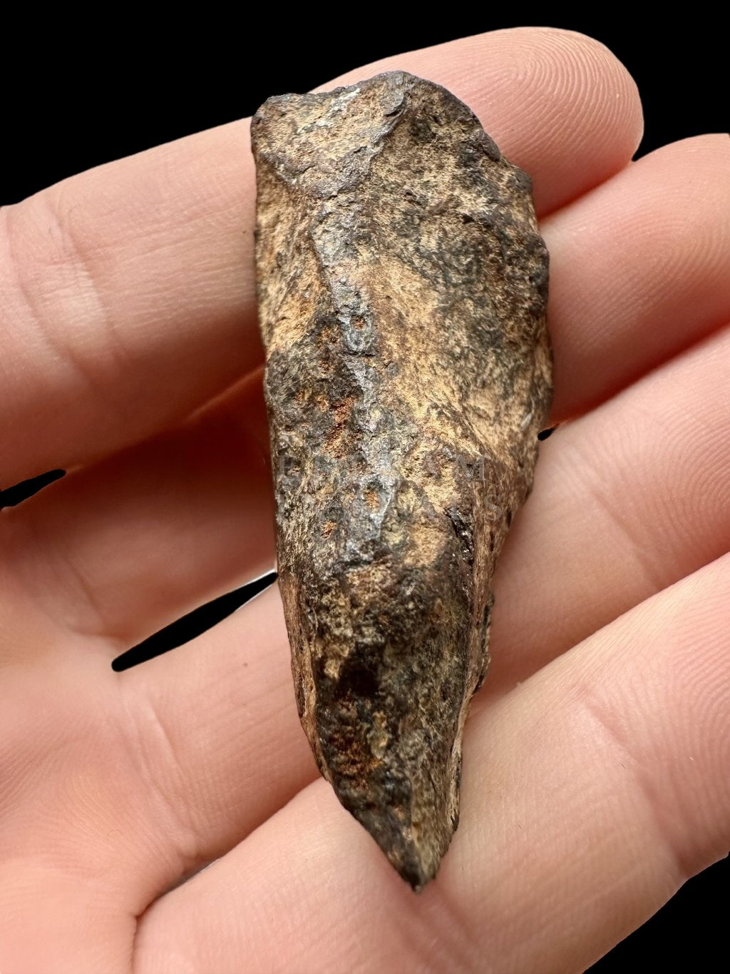 Meteorite Mundrabilla 52,1g – Nullarbor plain, Australia - MEMU01