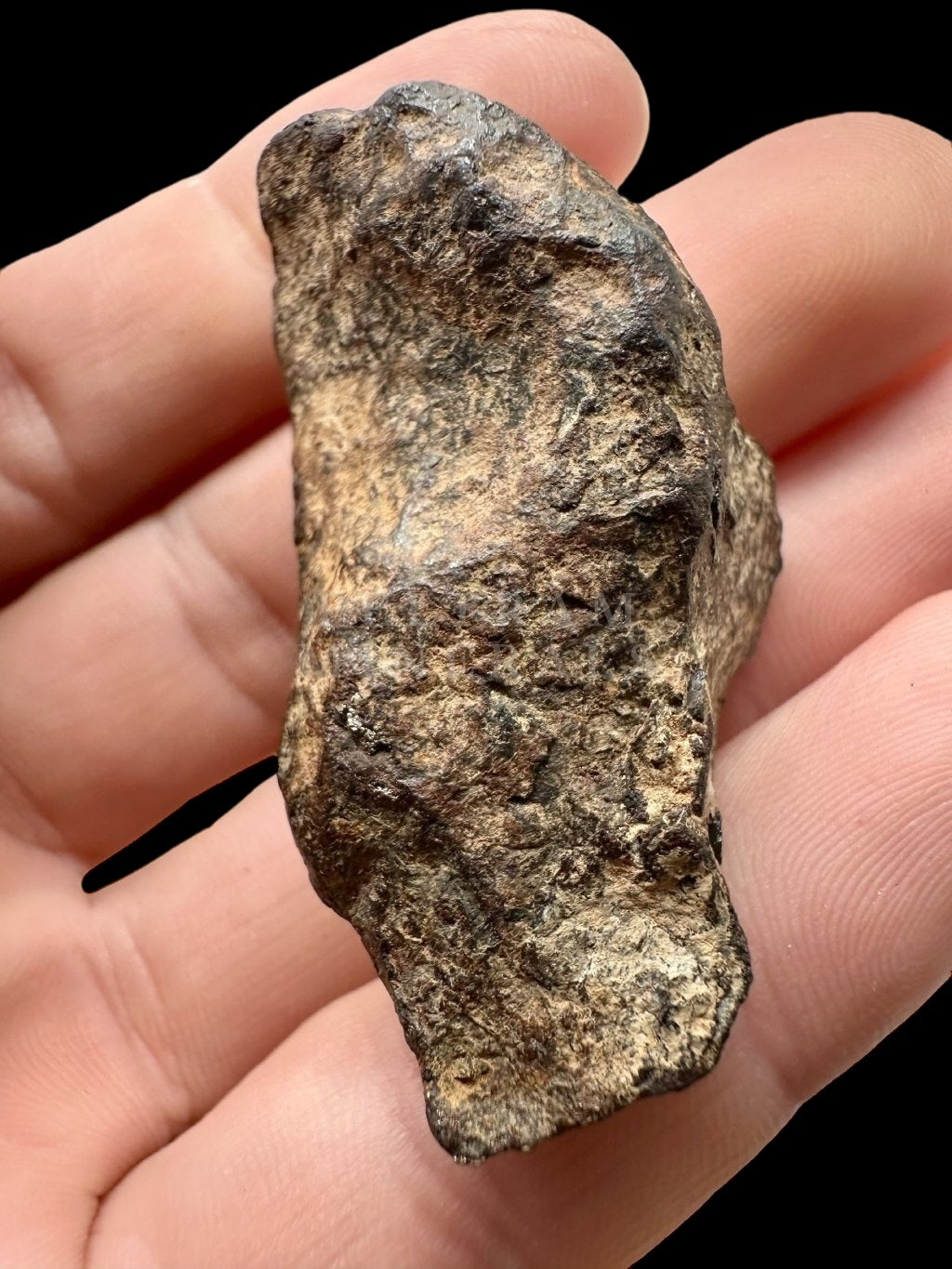 Meteorite Mundrabilla 52,1g – Nullarbor plain, Australia - MEMU01