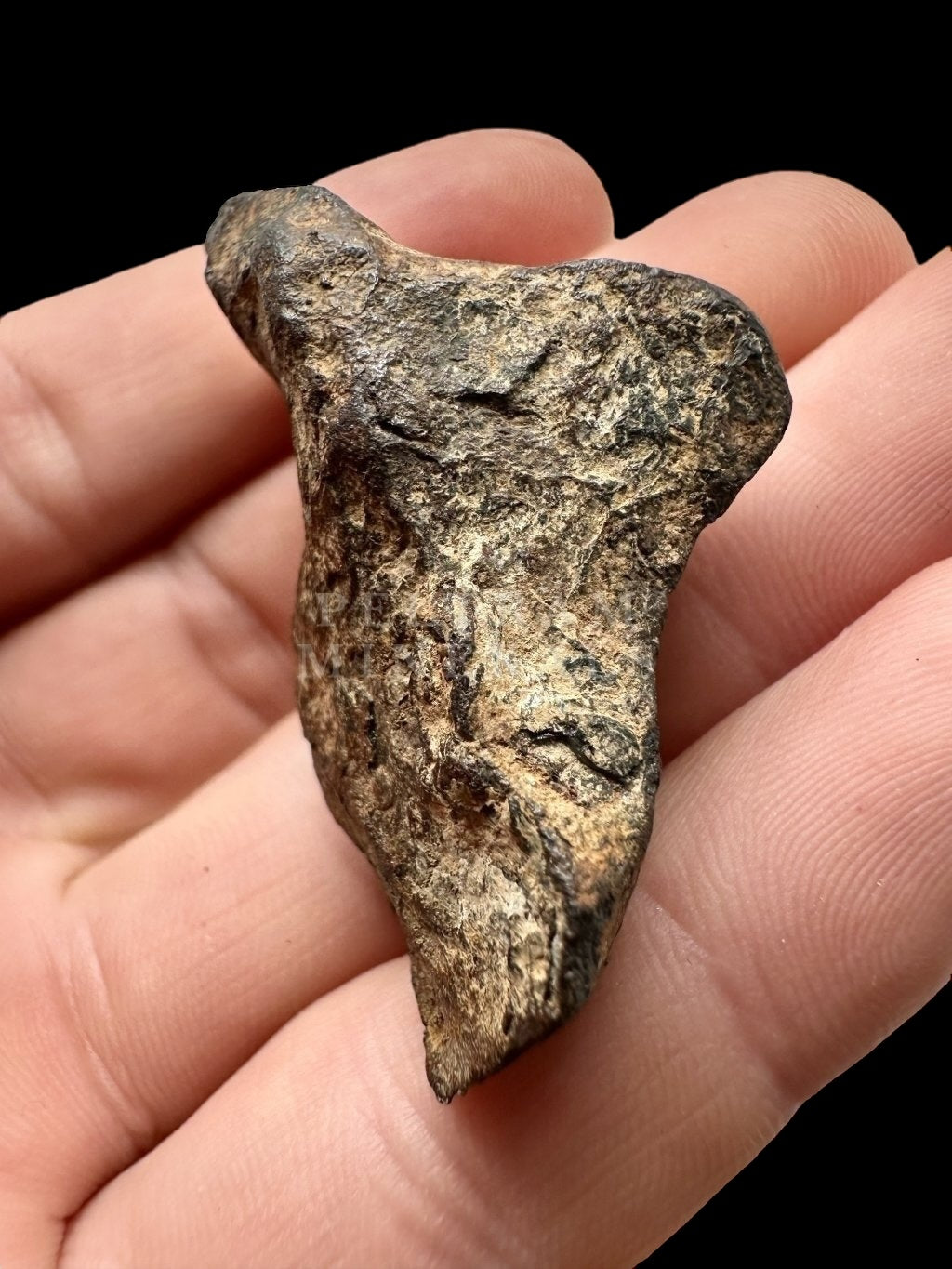 Meteorite Mundrabilla 52,1g – Nullarbor plain, Australia - MEMU01